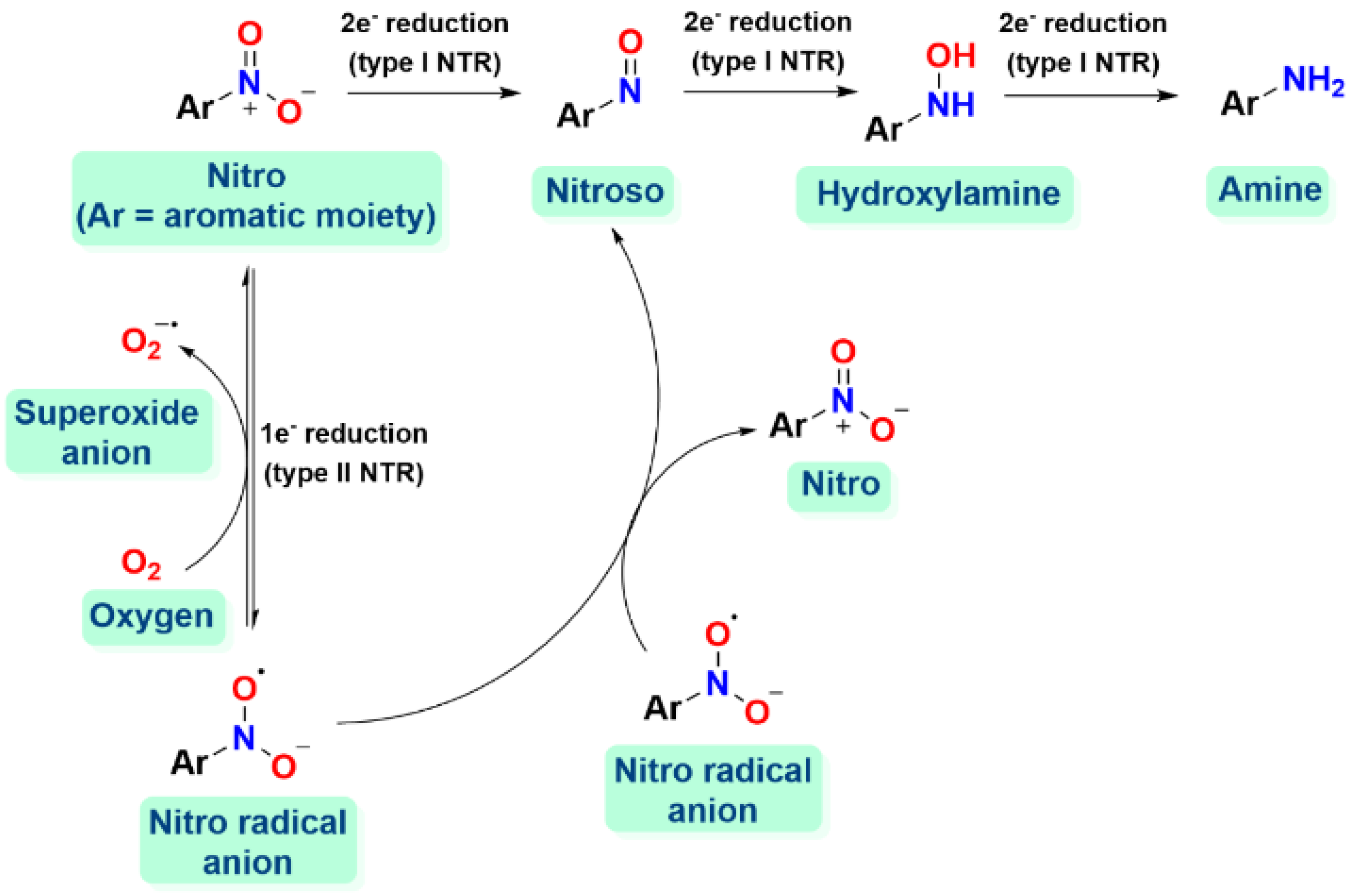 Ijms 25 06536 sch001