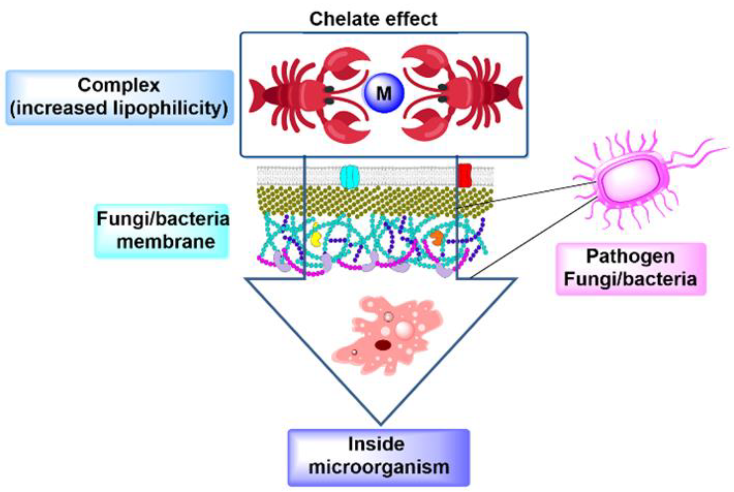 Ijms 25 06536 sch002