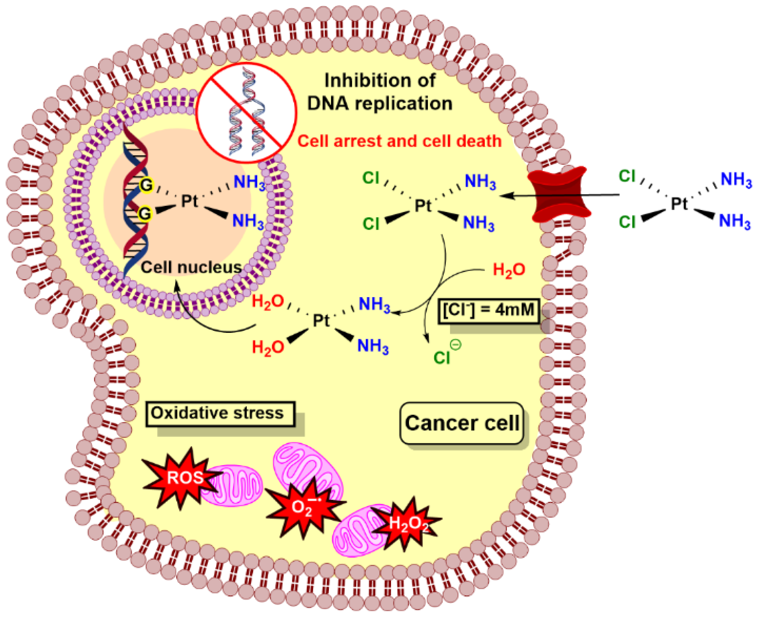 Ijms 25 06536 sch003
