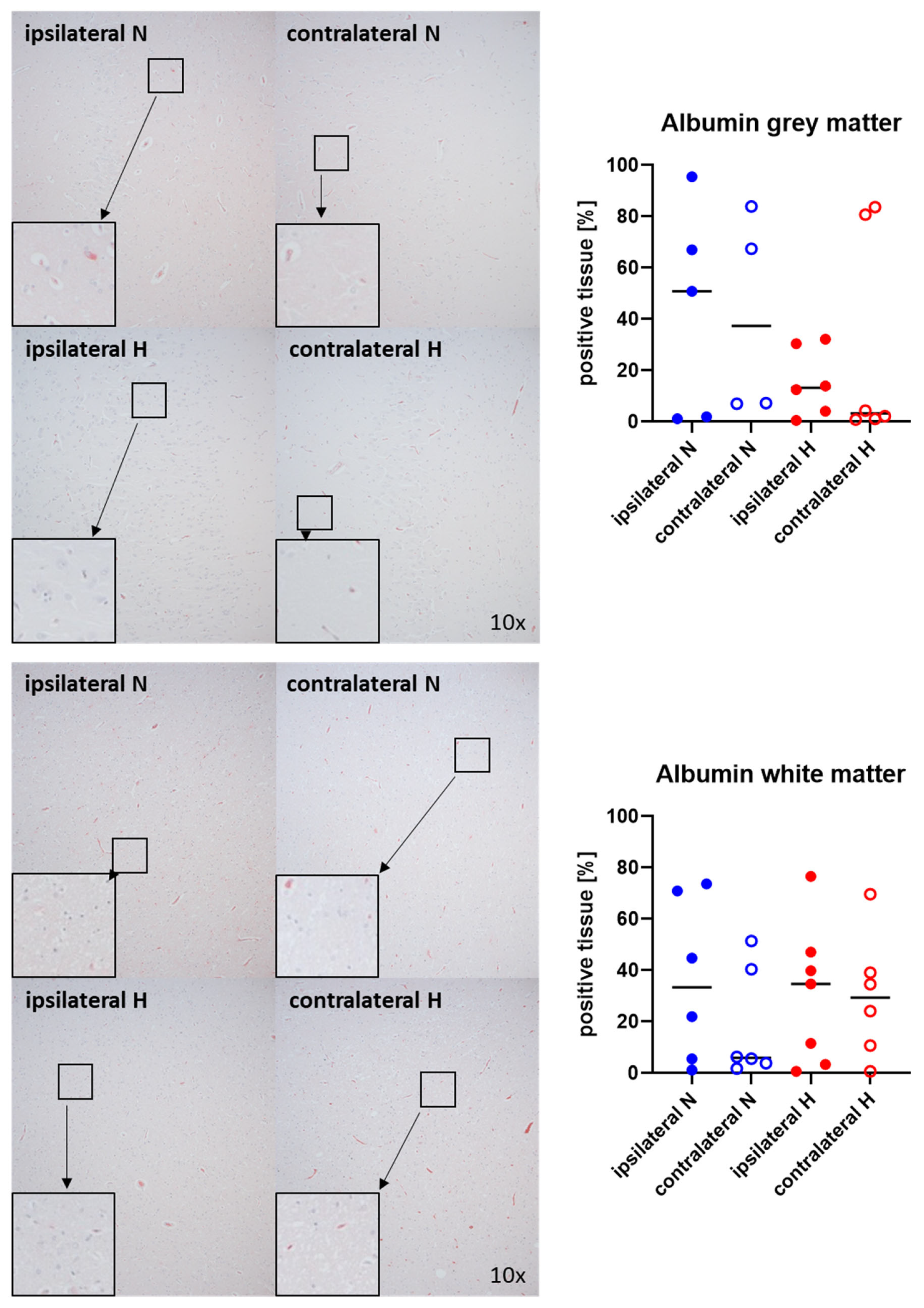Ijms 25 06574 g001 Ijms 25 06574 g001
