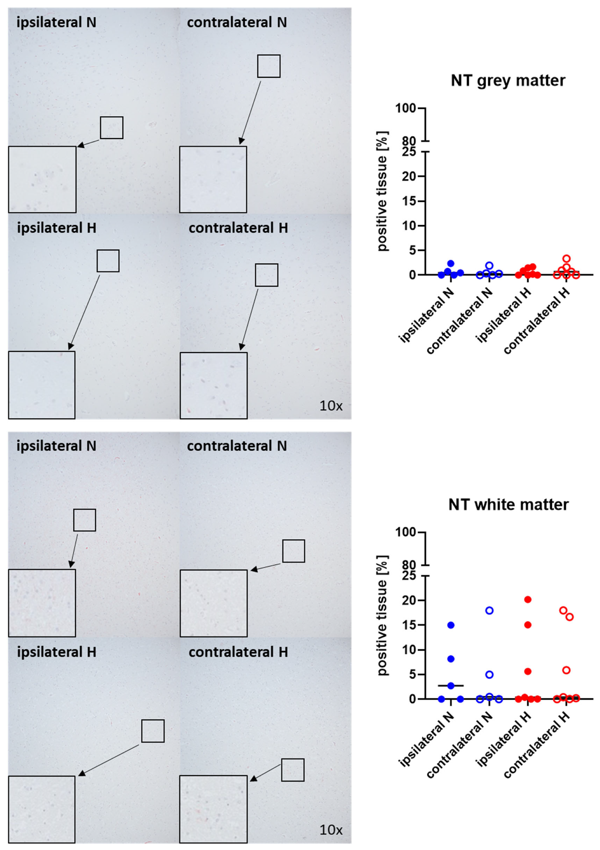 Ijms 25 06574 g002 Ijms 25 06574 g002