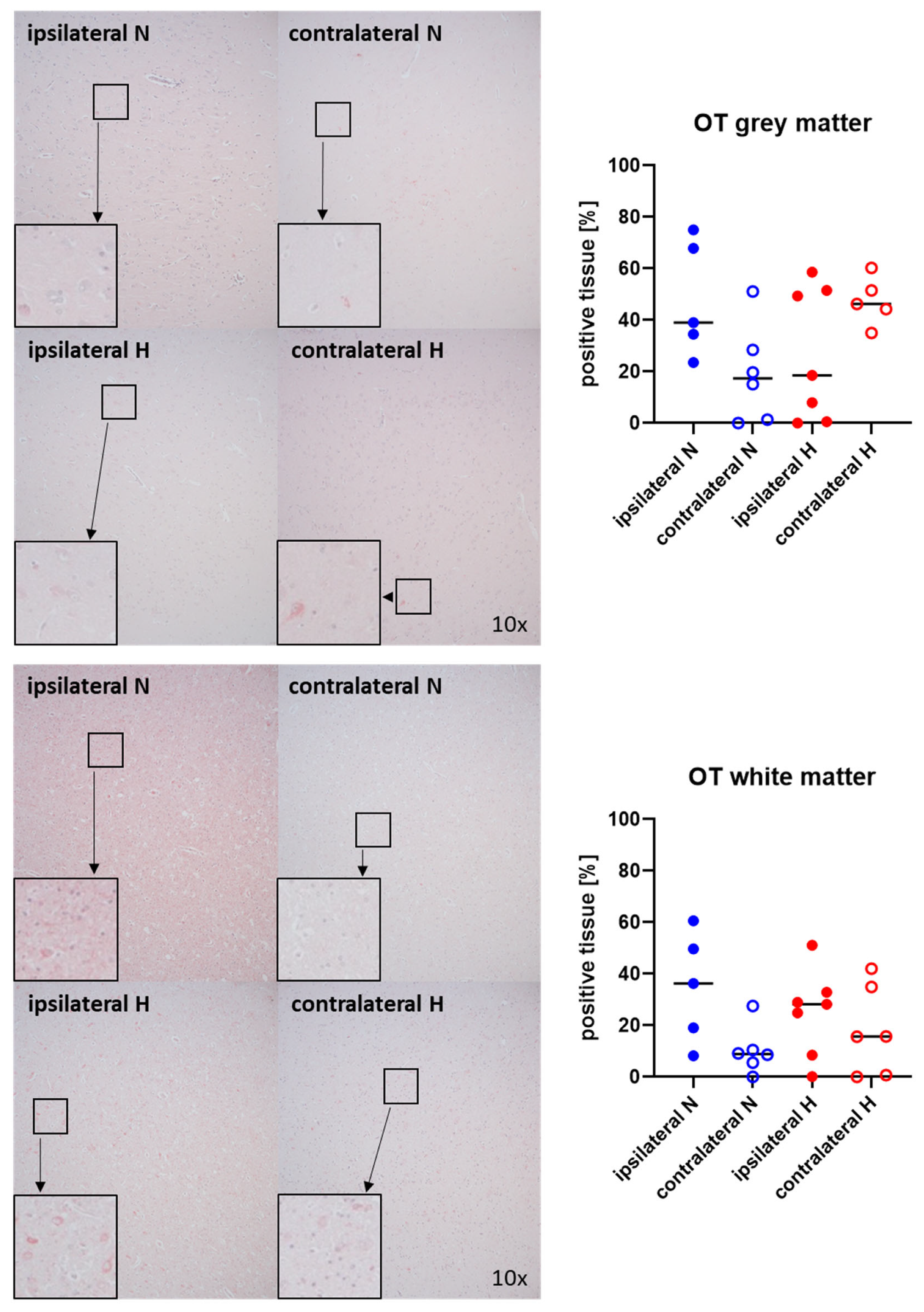 Ijms 25 06574 g003 Ijms 25 06574 g003