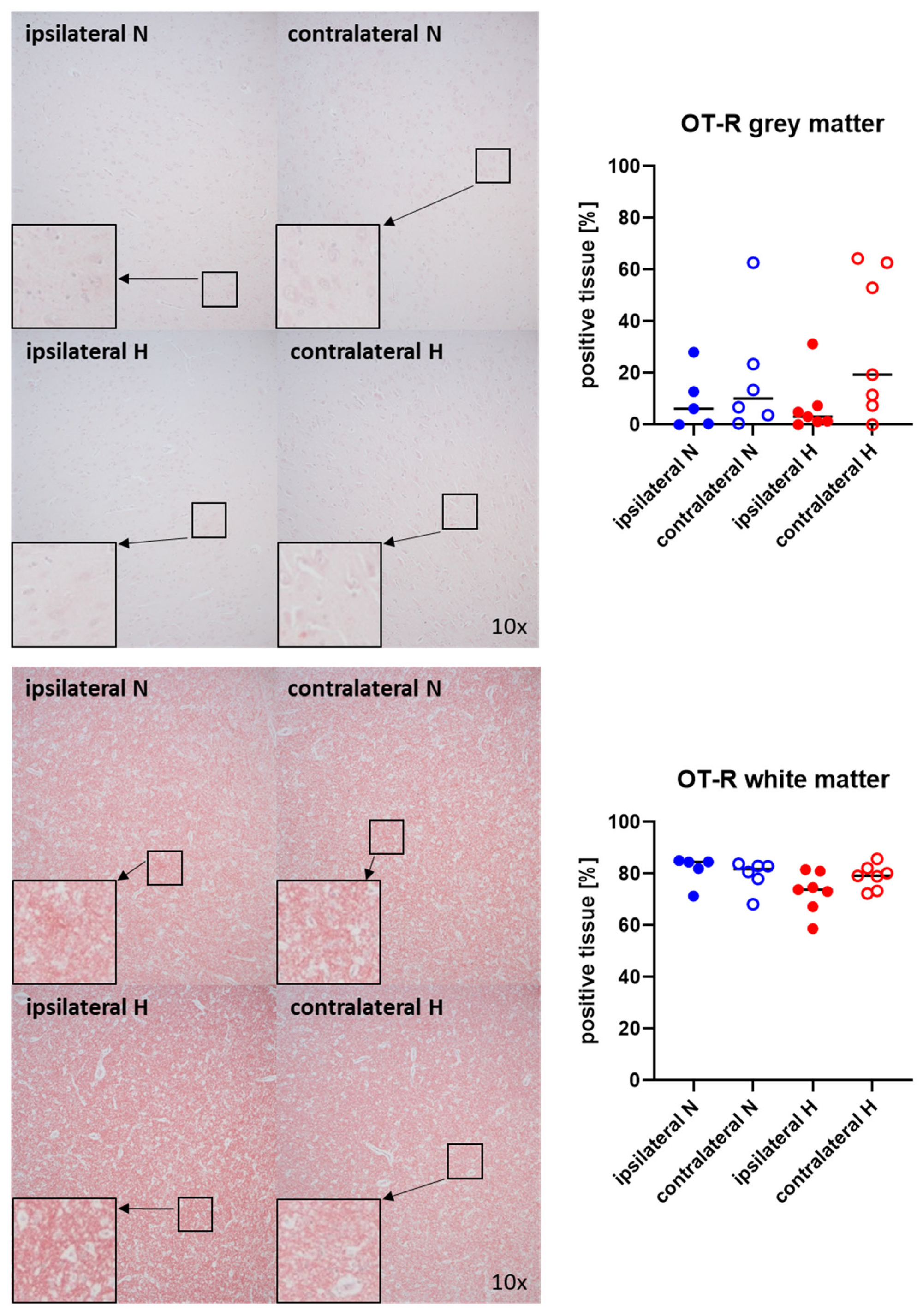 Ijms 25 06574 g004 Ijms 25 06574 g004