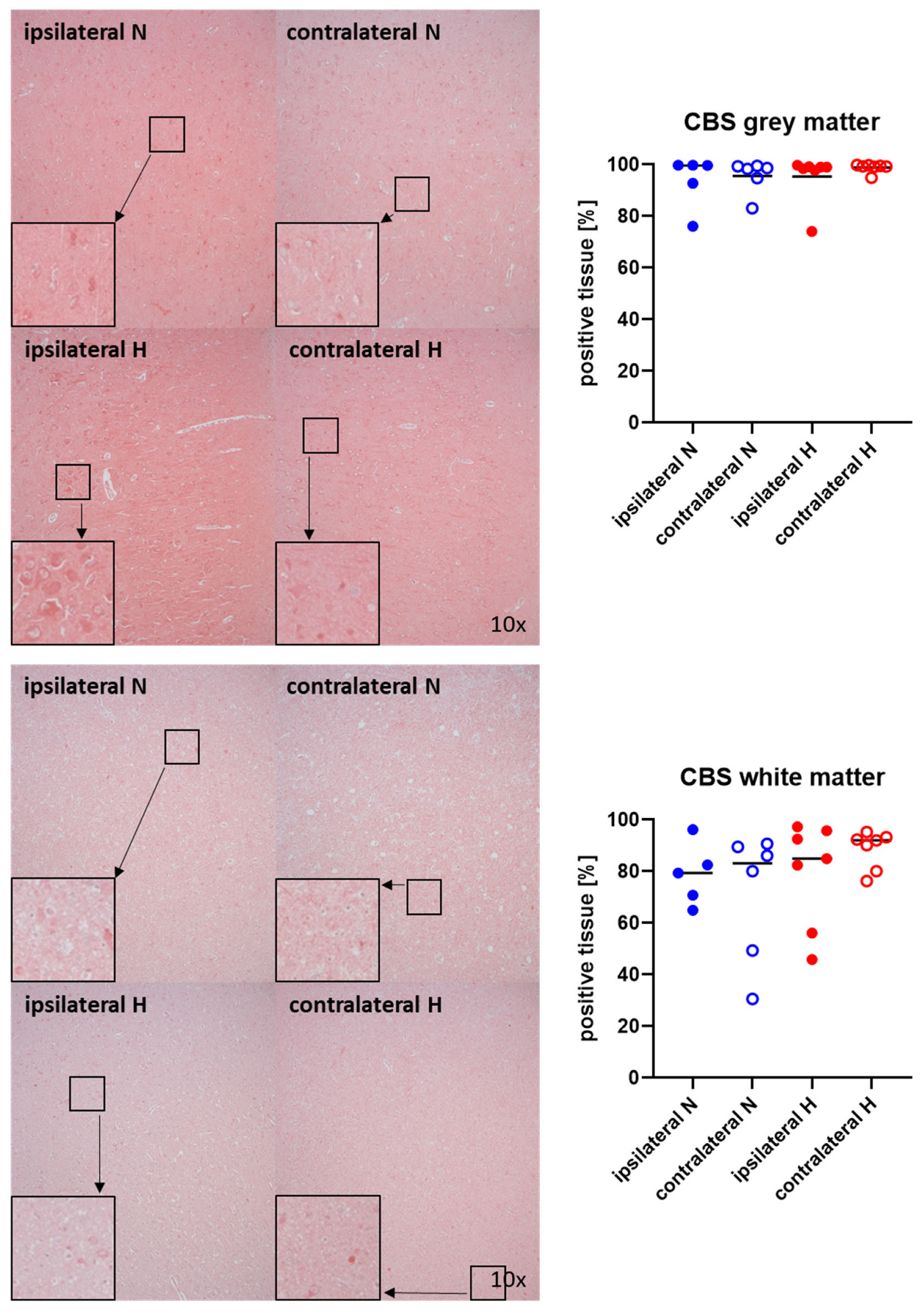 Ijms 25 06574 g005 Ijms 25 06574 g005
