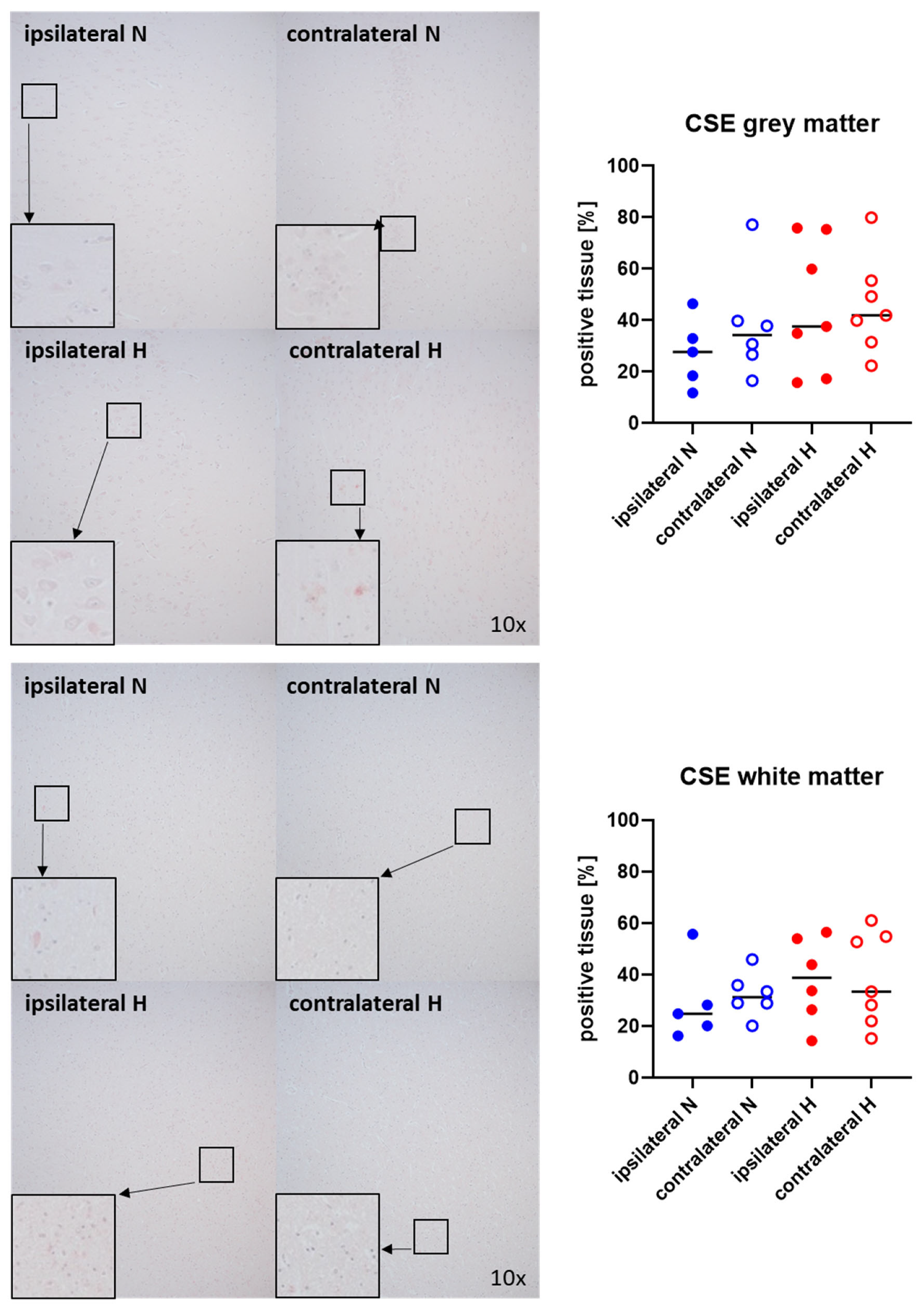 Ijms 25 06574 g006 Ijms 25 06574 g006