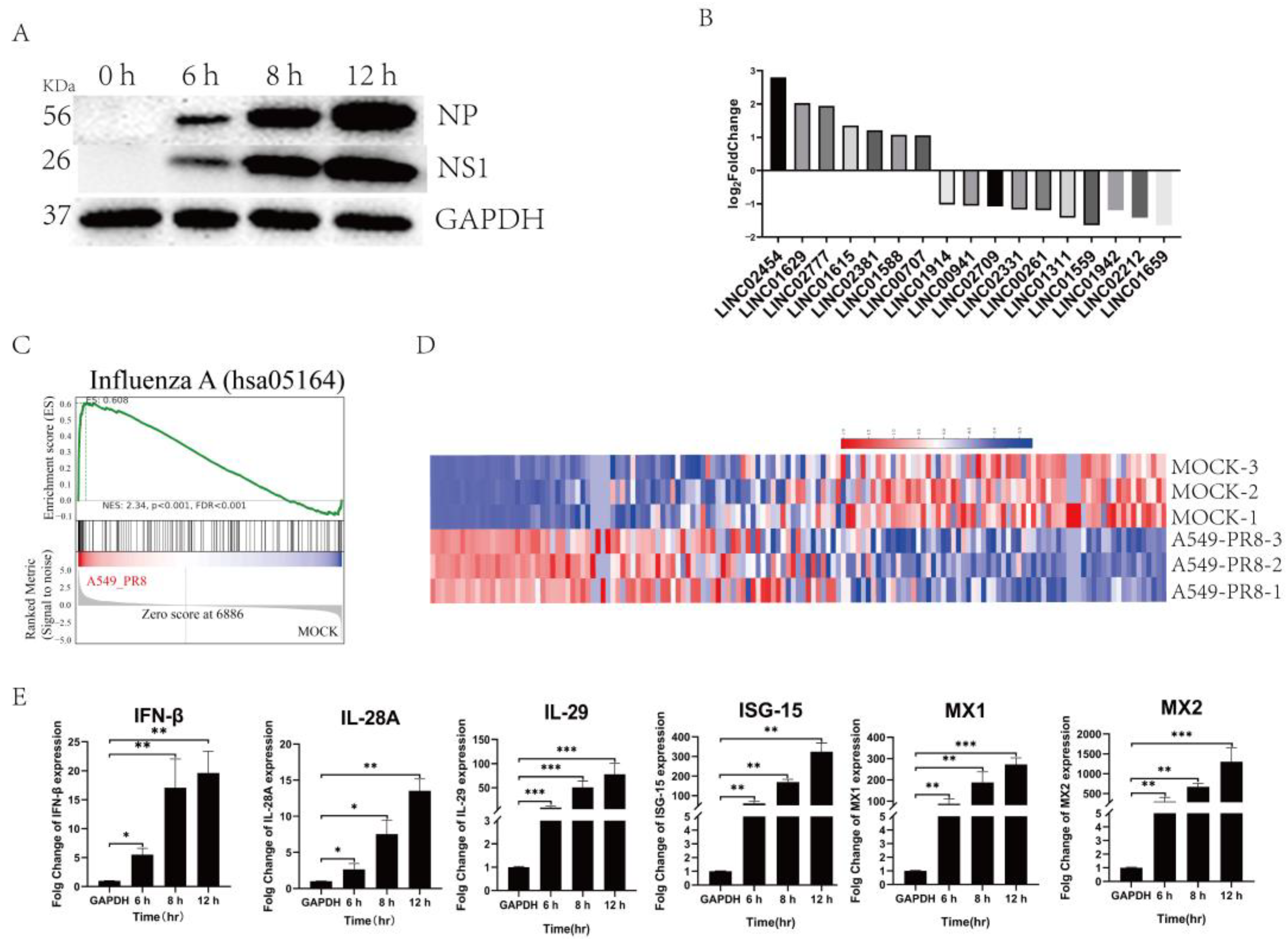 Ijms 25 06584 g002 Ijms 25 06584 g002