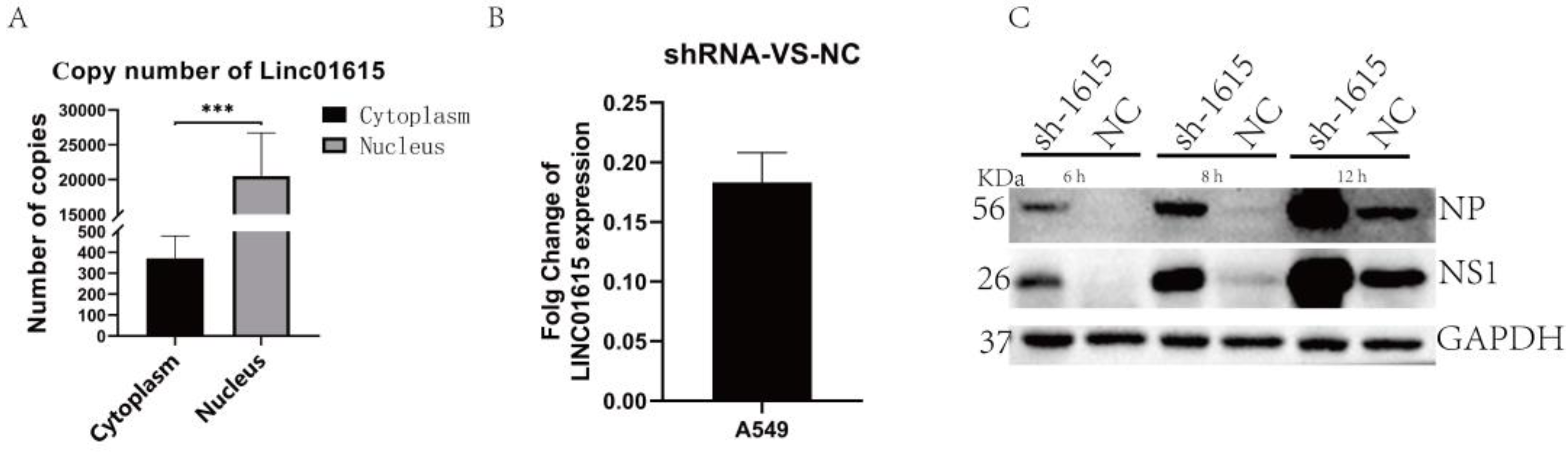 Ijms 25 06584 g003 Ijms 25 06584 g003