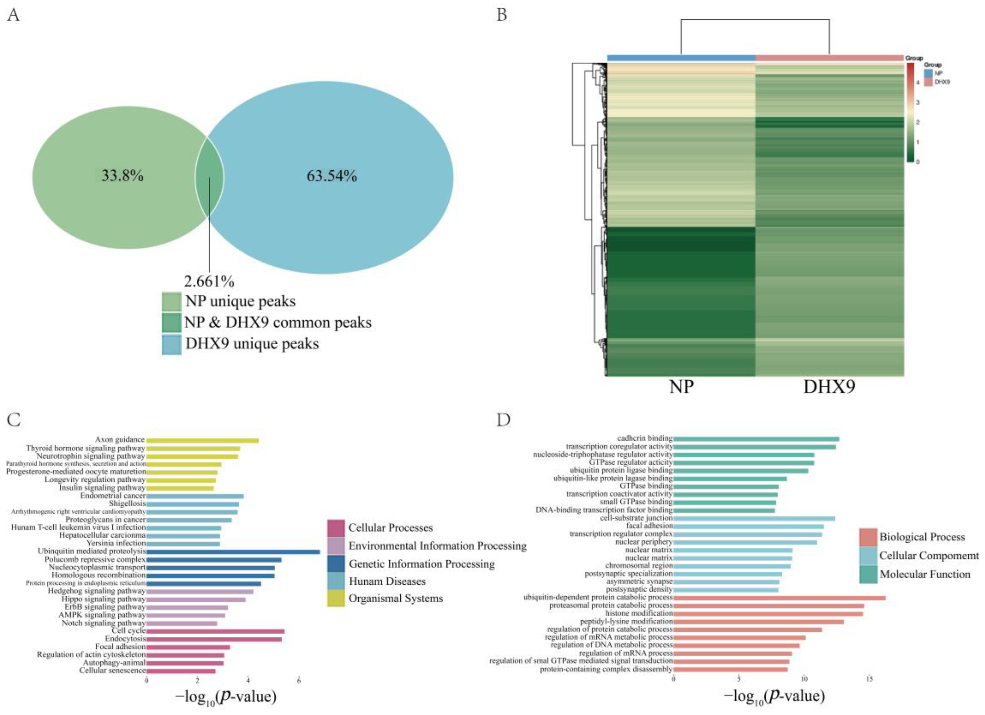 Ijms 25 06584 g005 Ijms 25 06584 g005