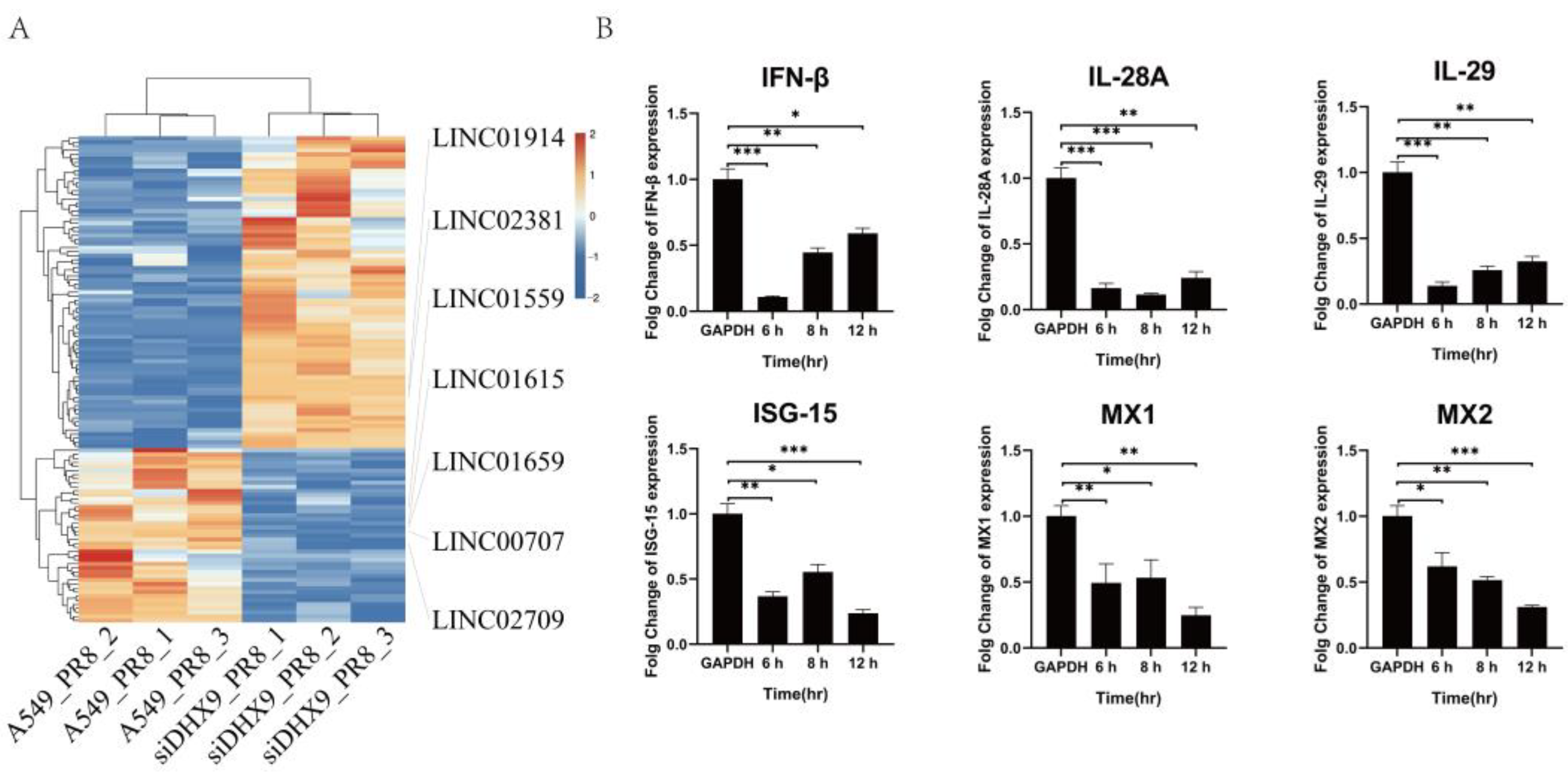 Ijms 25 06584 g006 Ijms 25 06584 g006