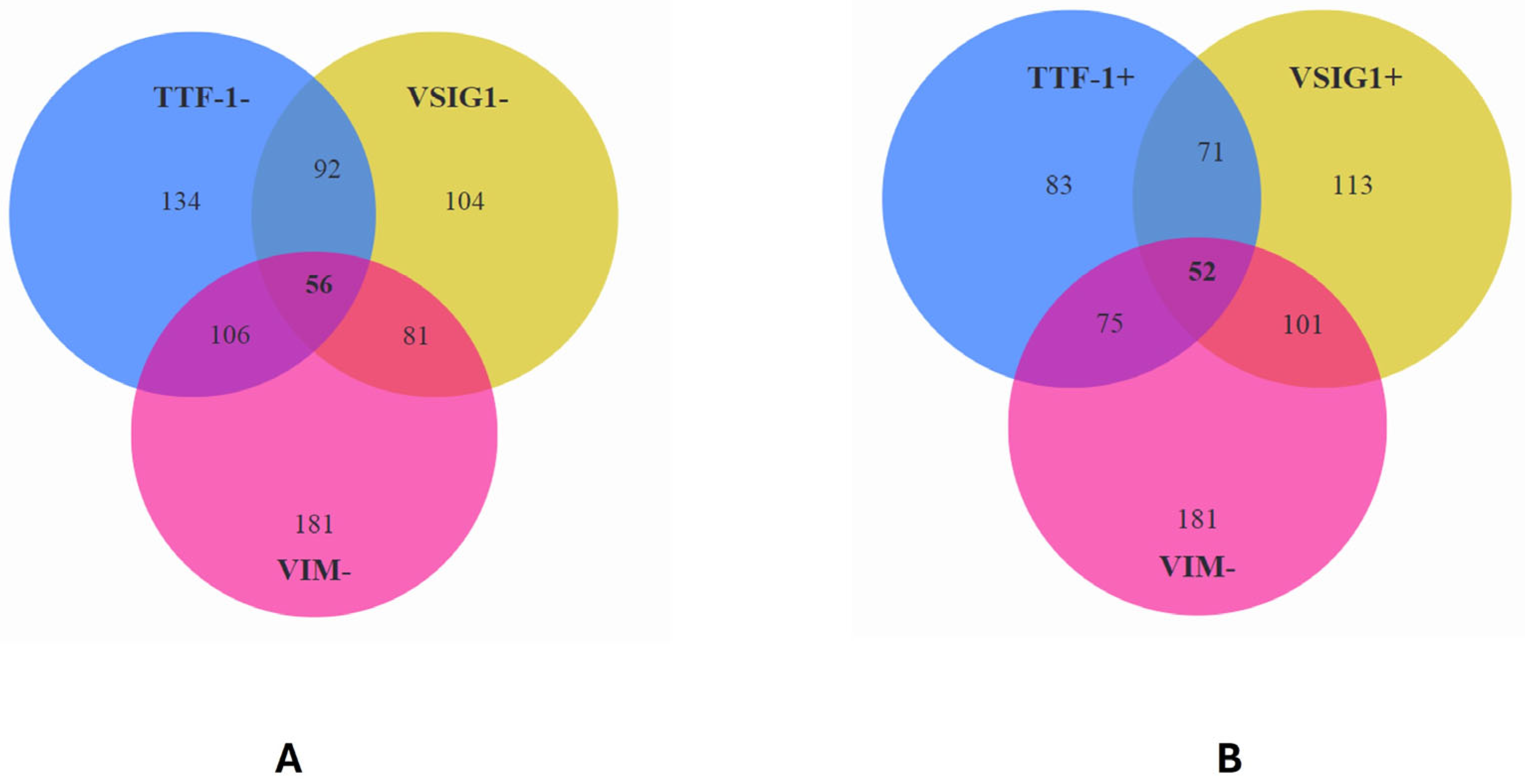 Ijms 25 06588 g003 Ijms 25 06588 g003