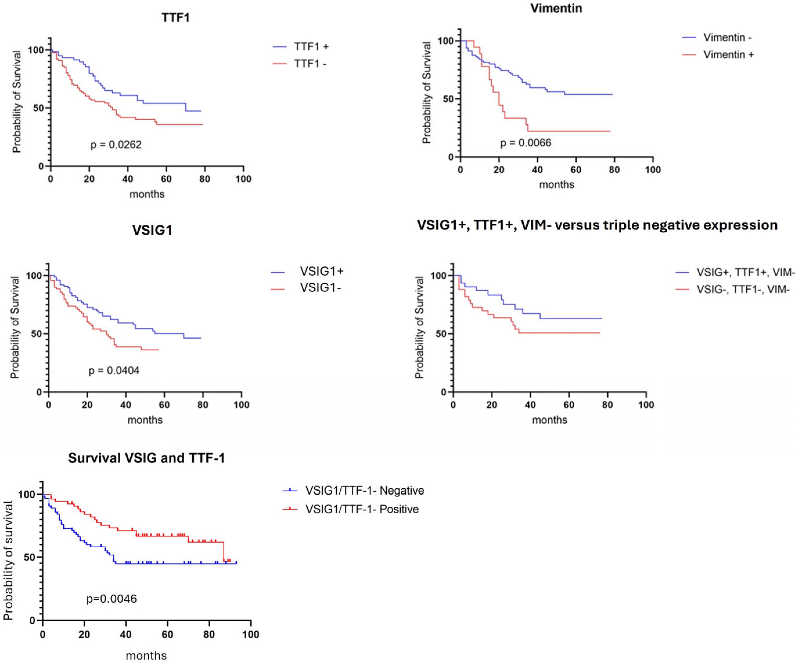 Ijms 25 06588 g004 Ijms 25 06588 g004