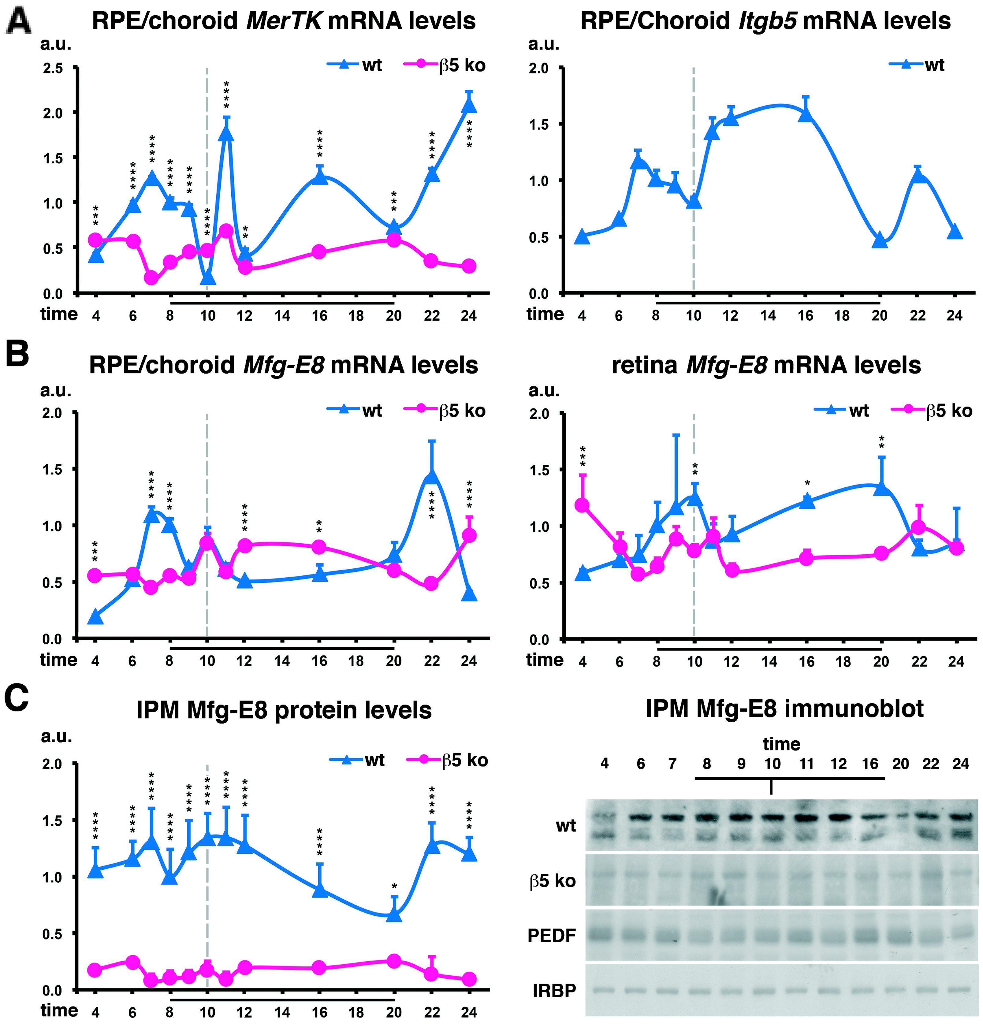Ijms 25 06630 g001 Ijms 25 06630 g001