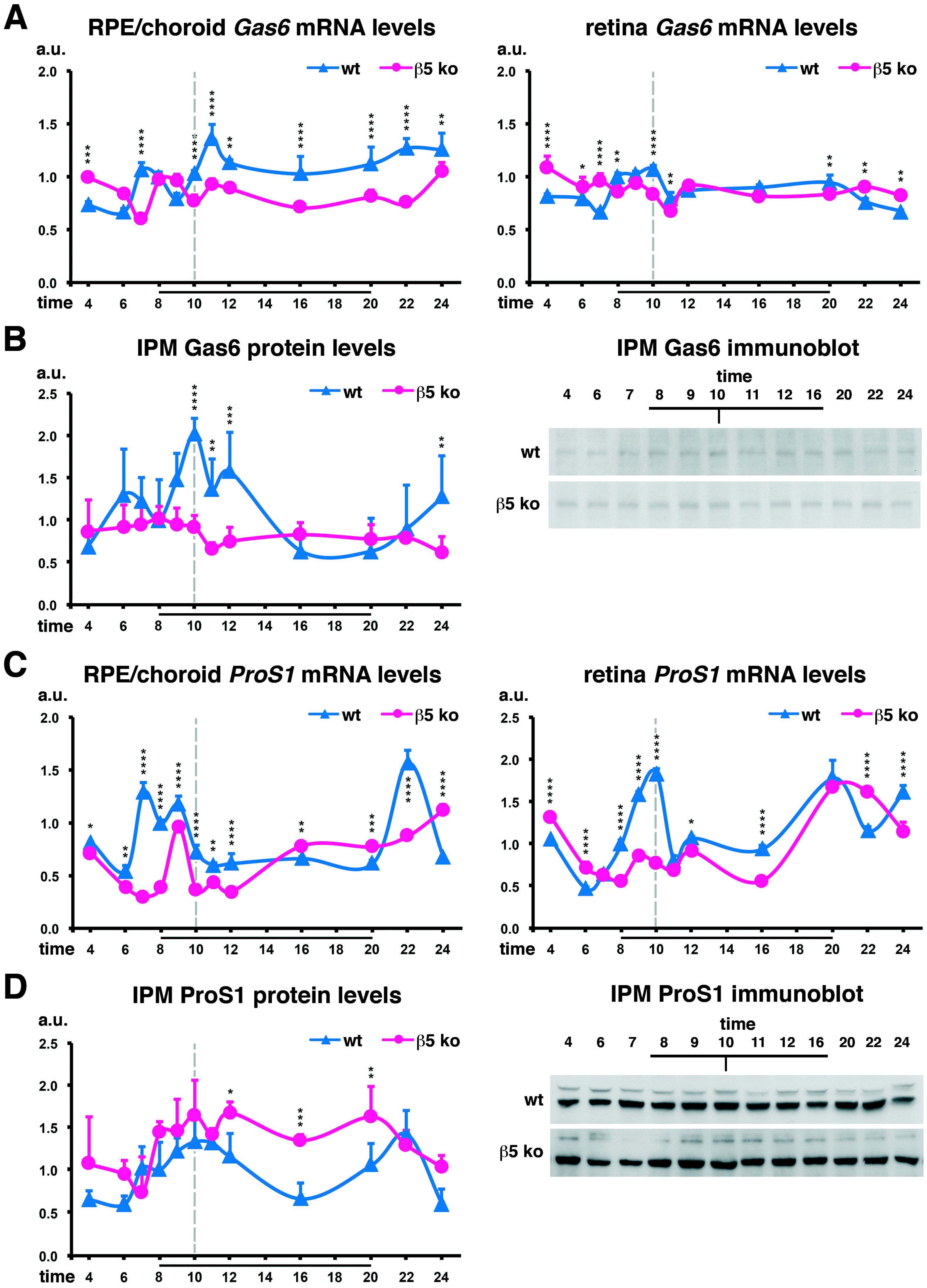 Ijms 25 06630 g002 Ijms 25 06630 g002