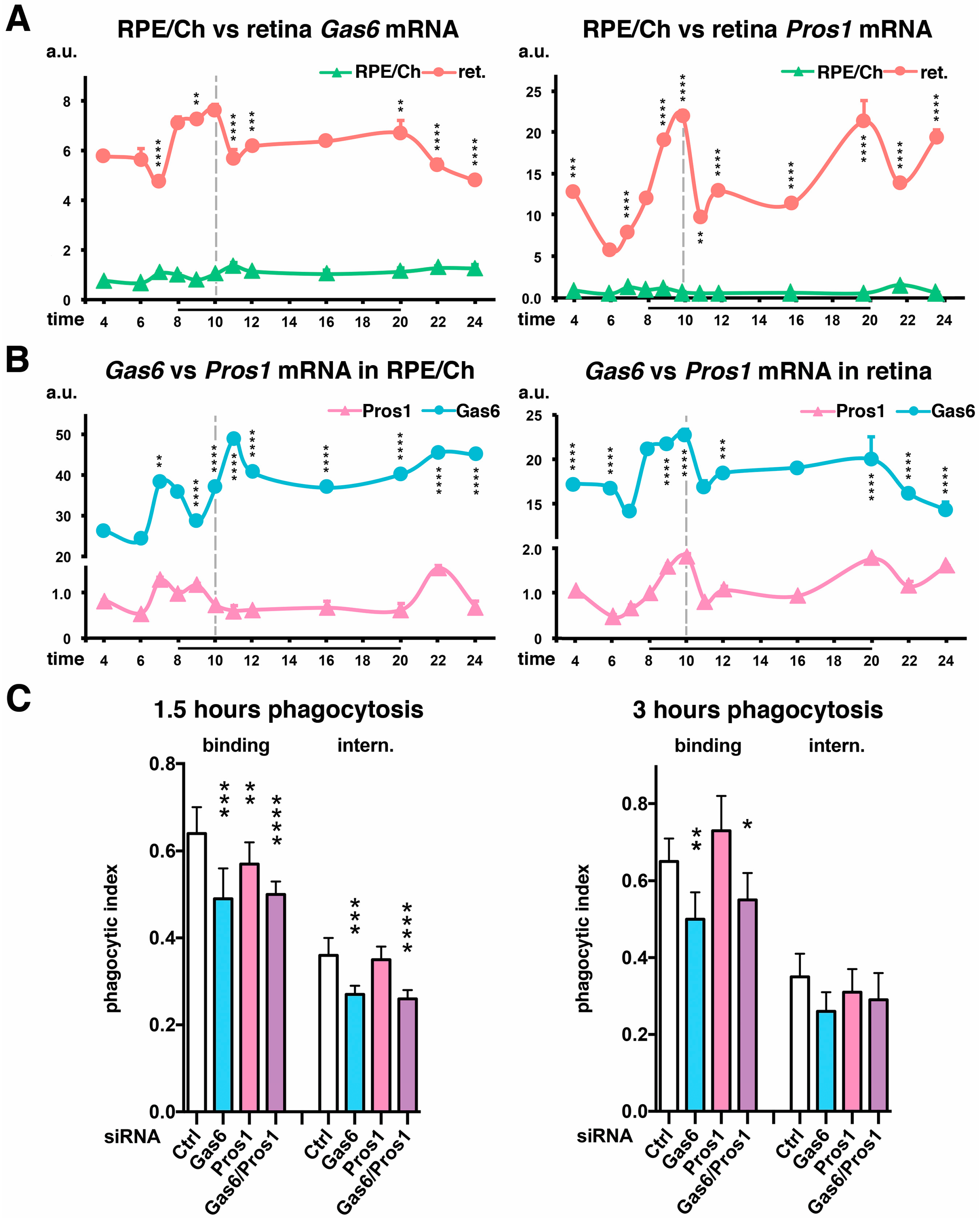 Ijms 25 06630 g003 Ijms 25 06630 g003