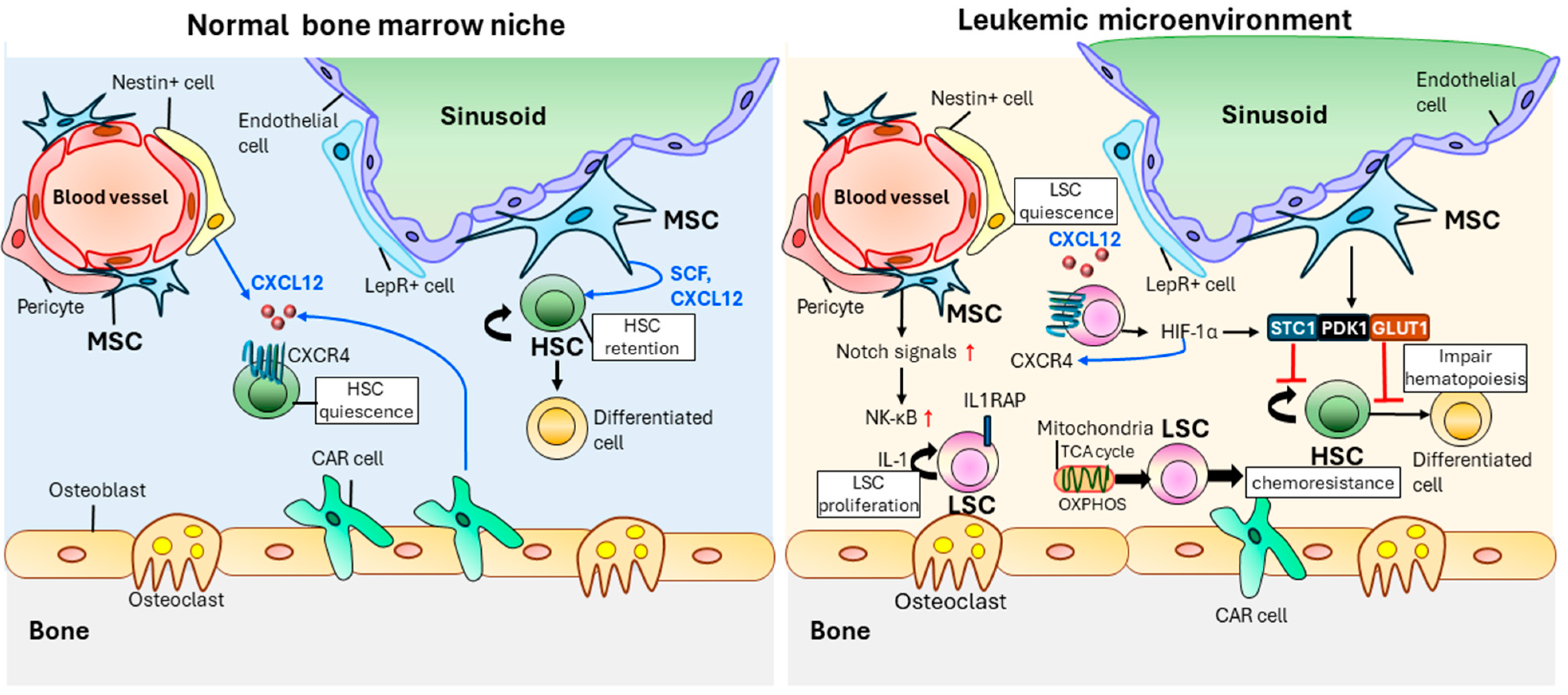 Ijms 25 06639 g002 Ijms 25 06639 g002