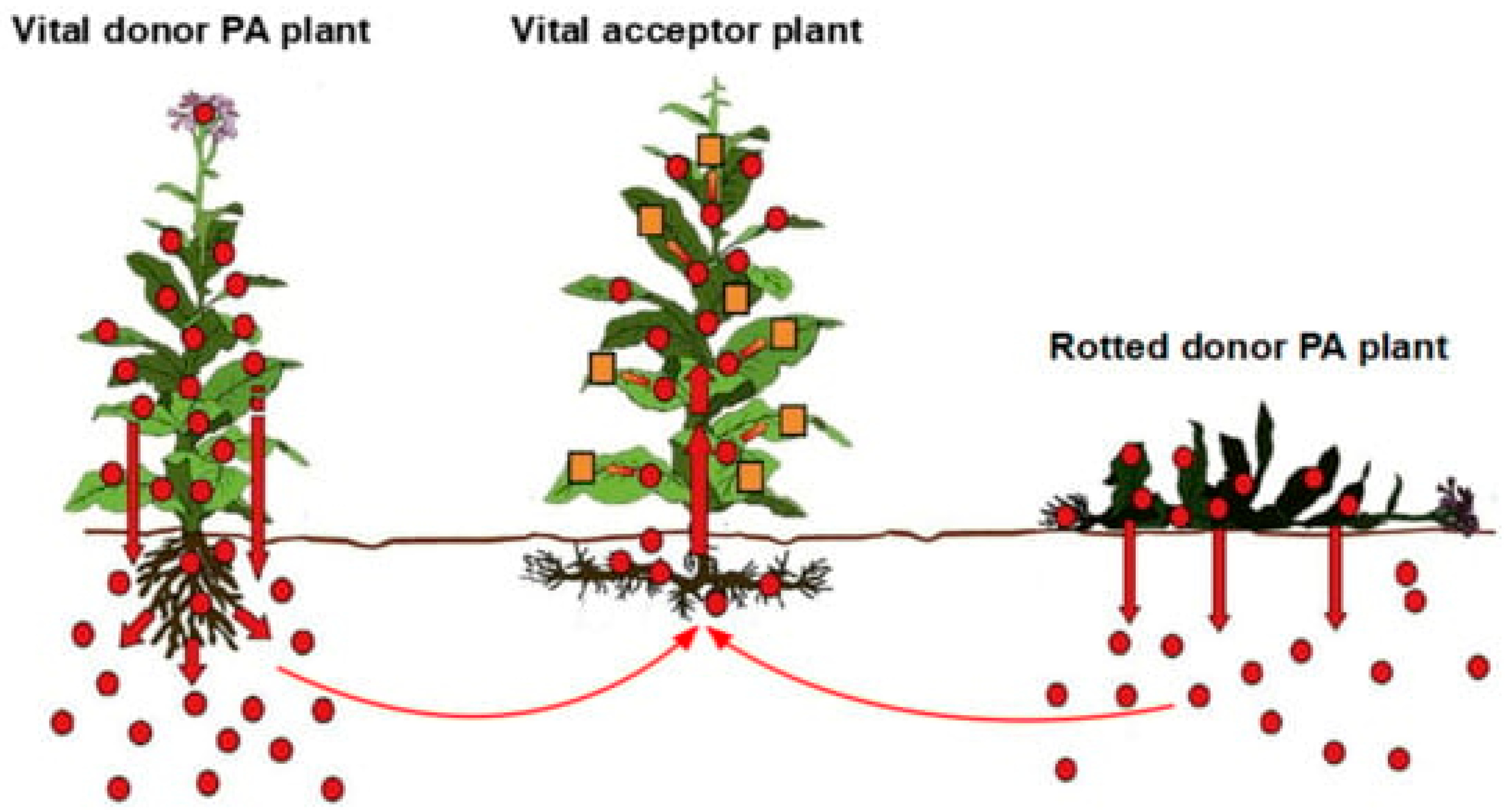 Ijms 25 06662 g002 Ijms 25 06662 g002