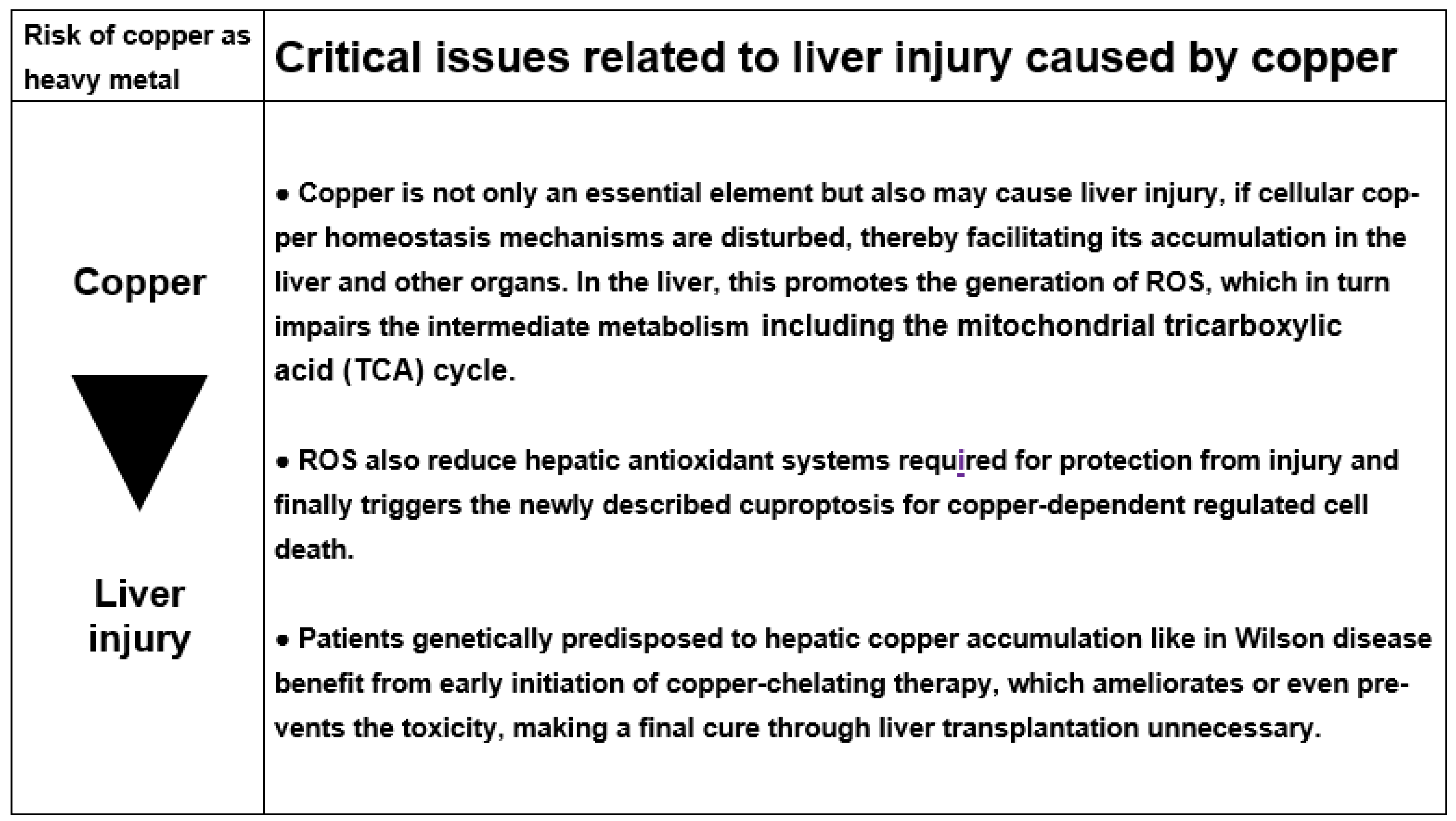 Ijms 25 06662 g003 Ijms 25 06662 g003