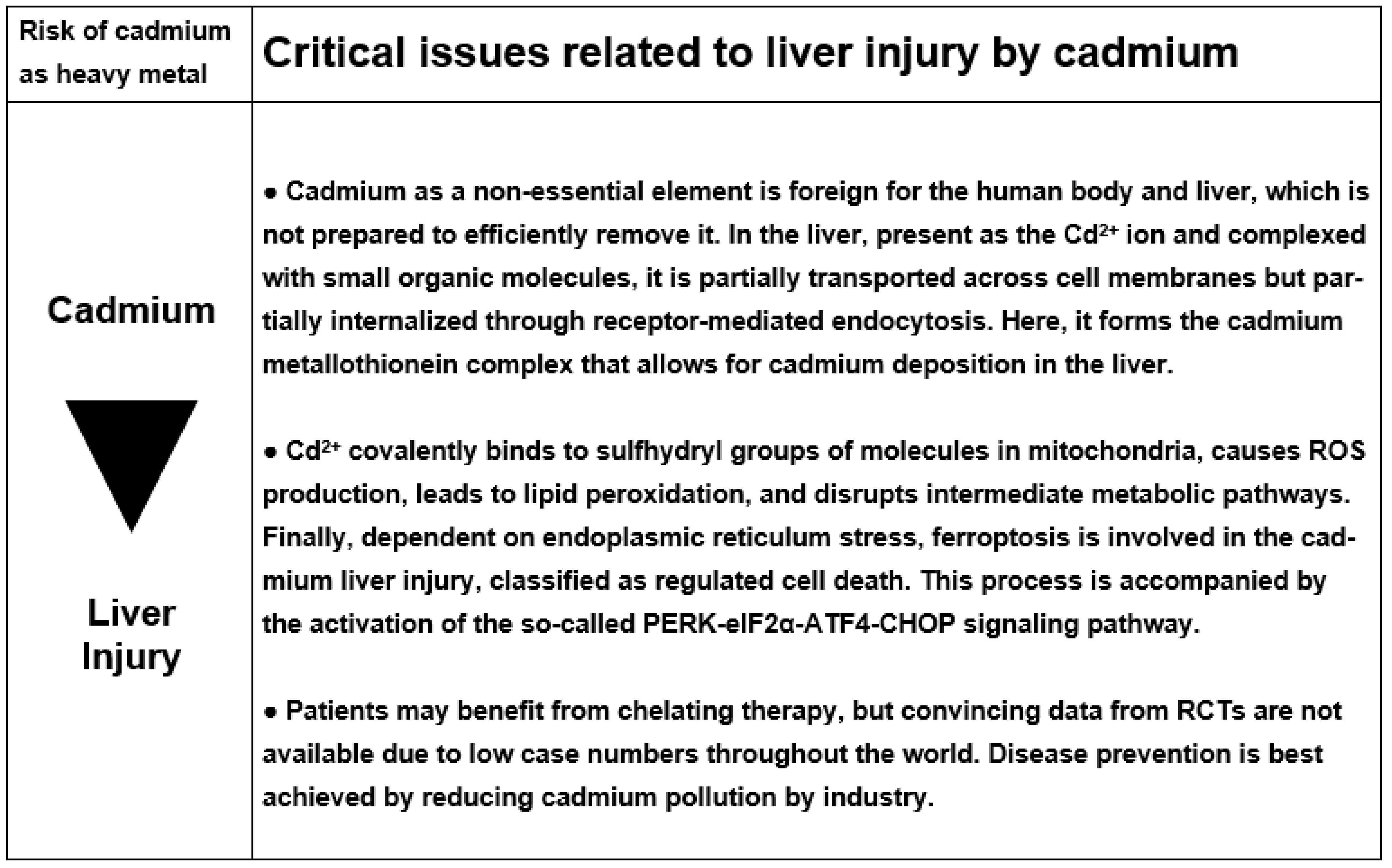 Ijms 25 06662 g006 Ijms 25 06662 g006