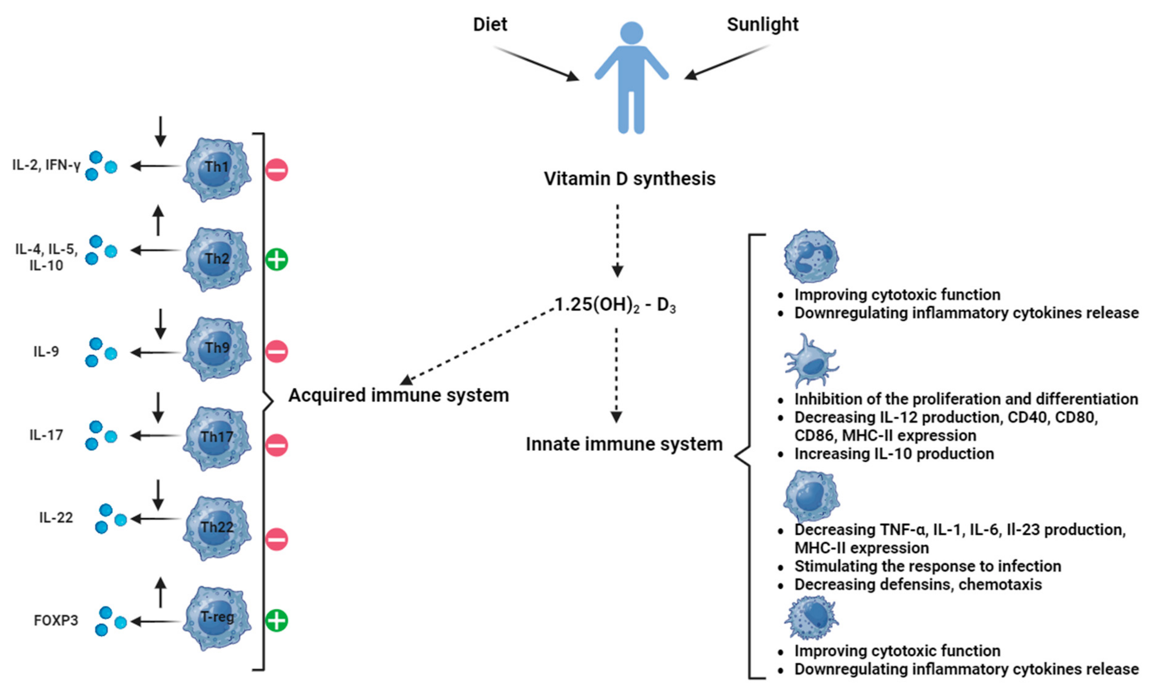 Ijms 25 06664 g001 Ijms 25 06664 g001