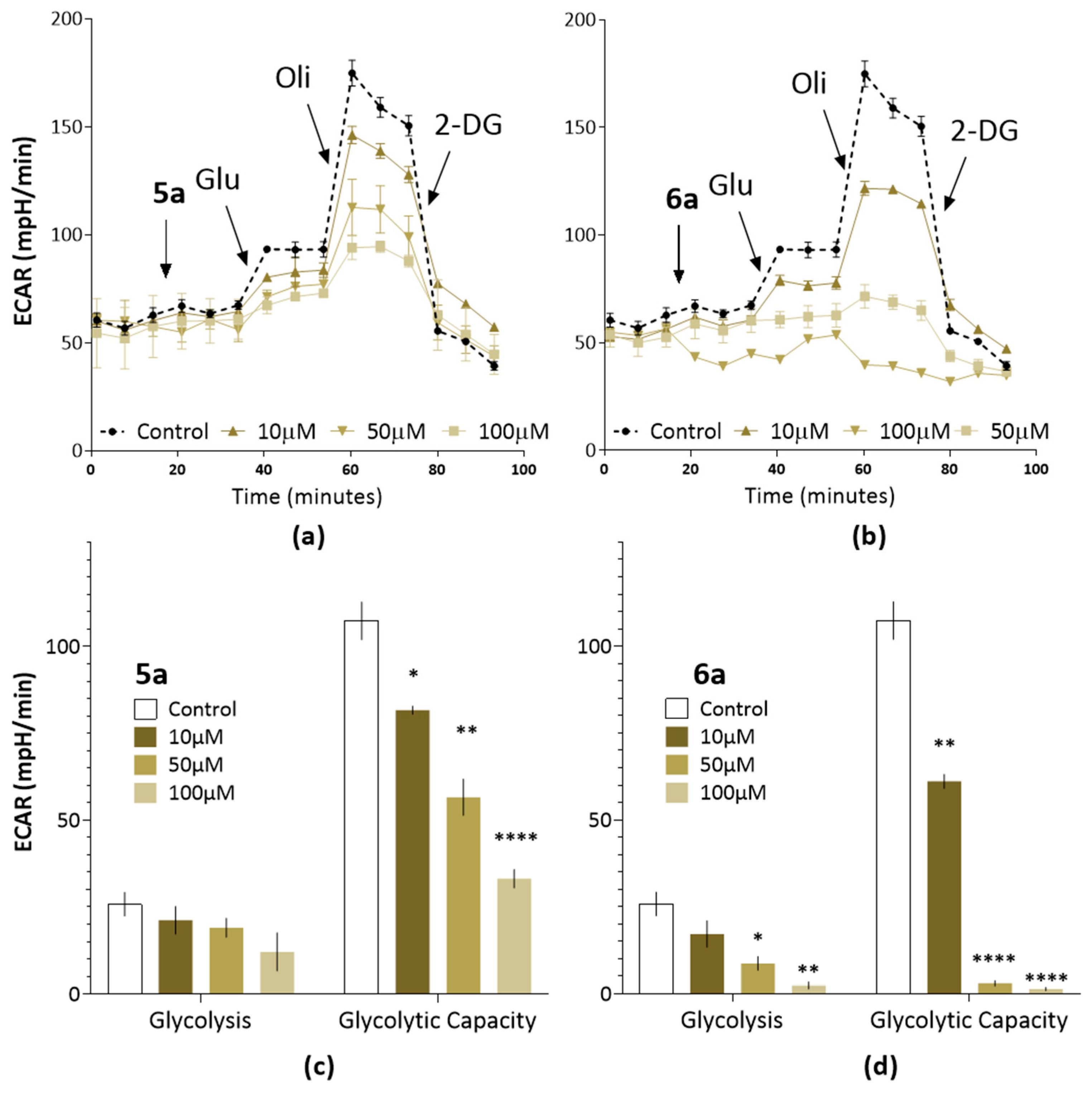 Ijms 25 06724 g009 Ijms 25 06724 g009