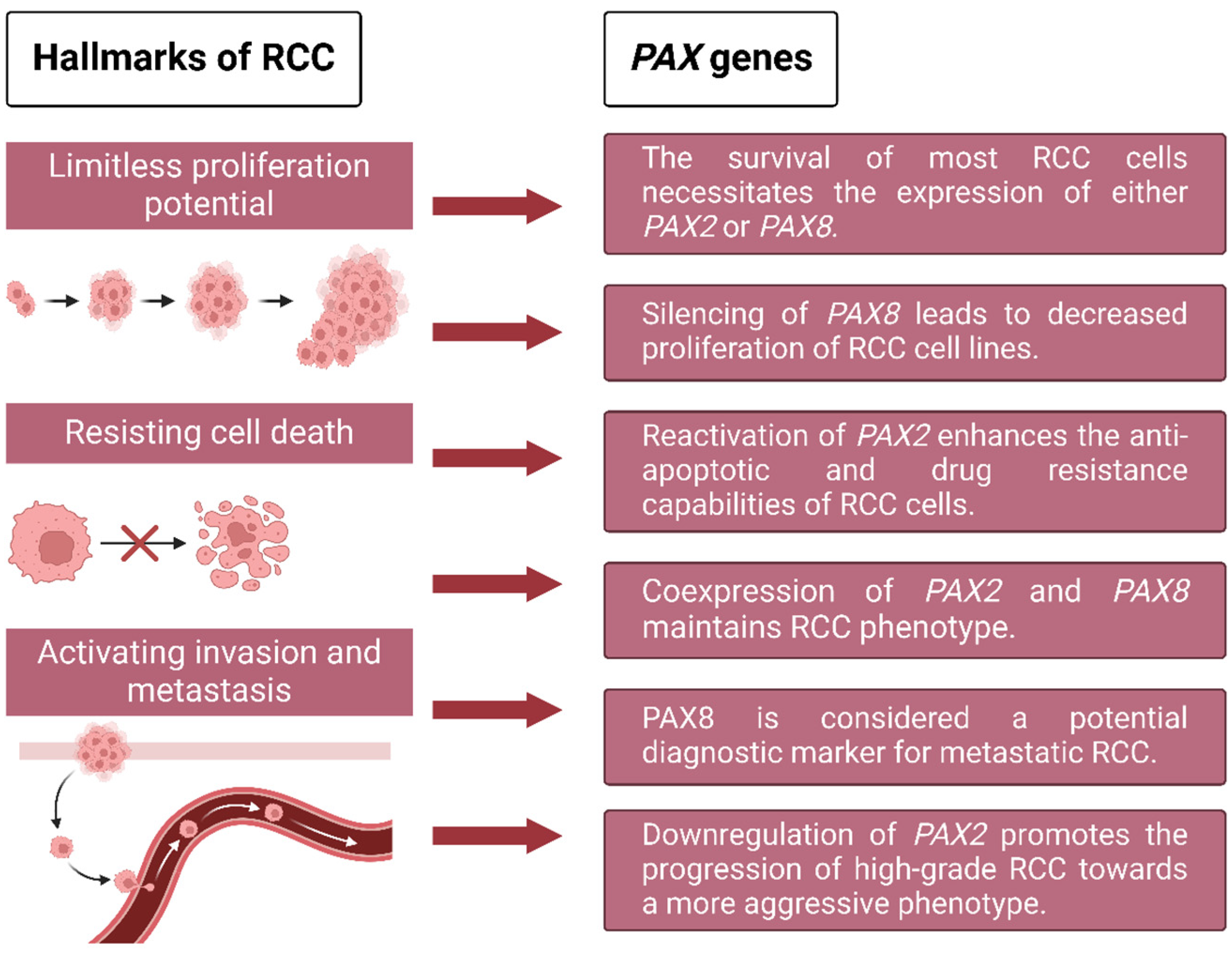 Ijms 25 06730 g001 Ijms 25 06730 g001