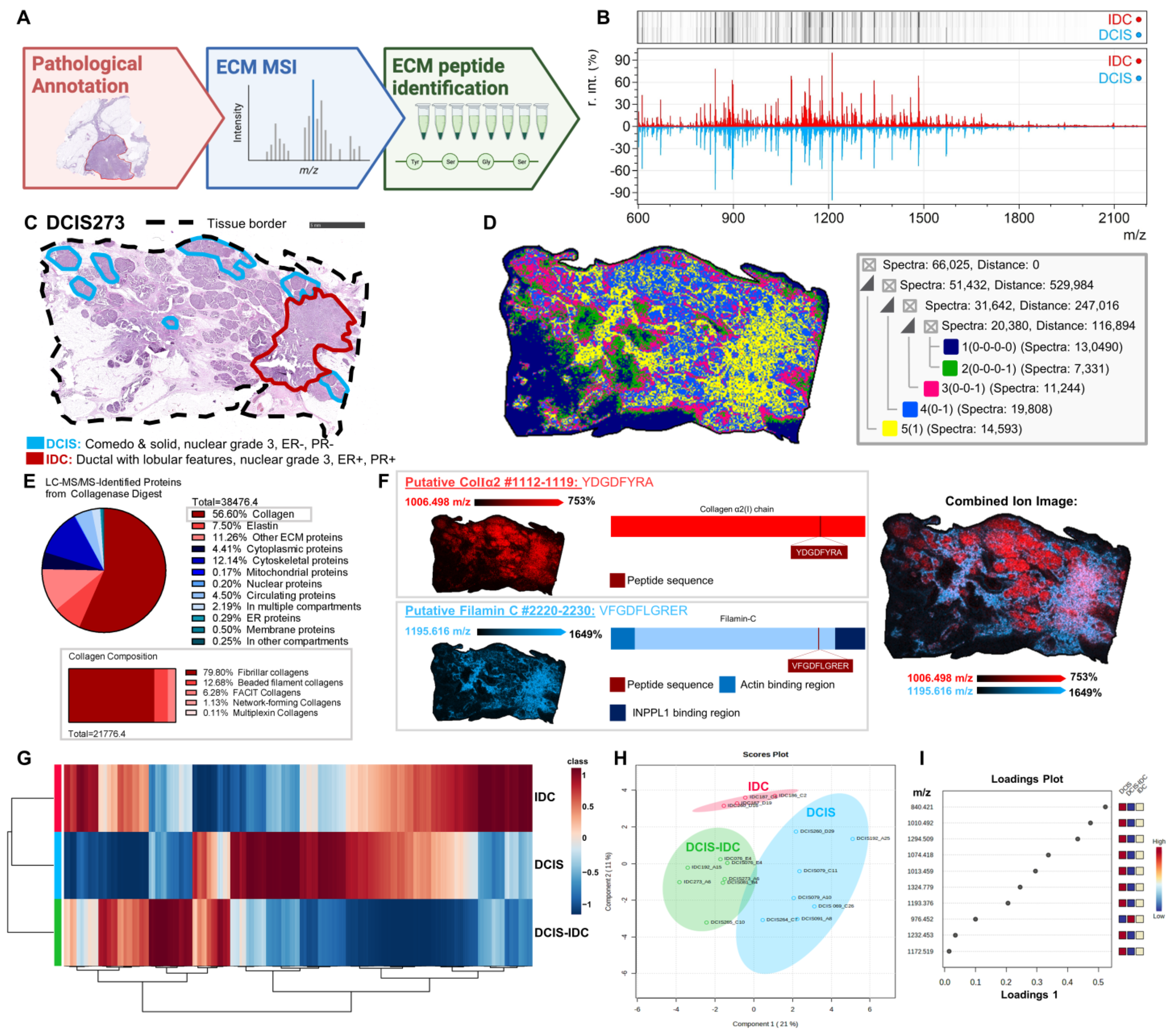 Ijms 25 06748 g002 Ijms 25 06748 g002
