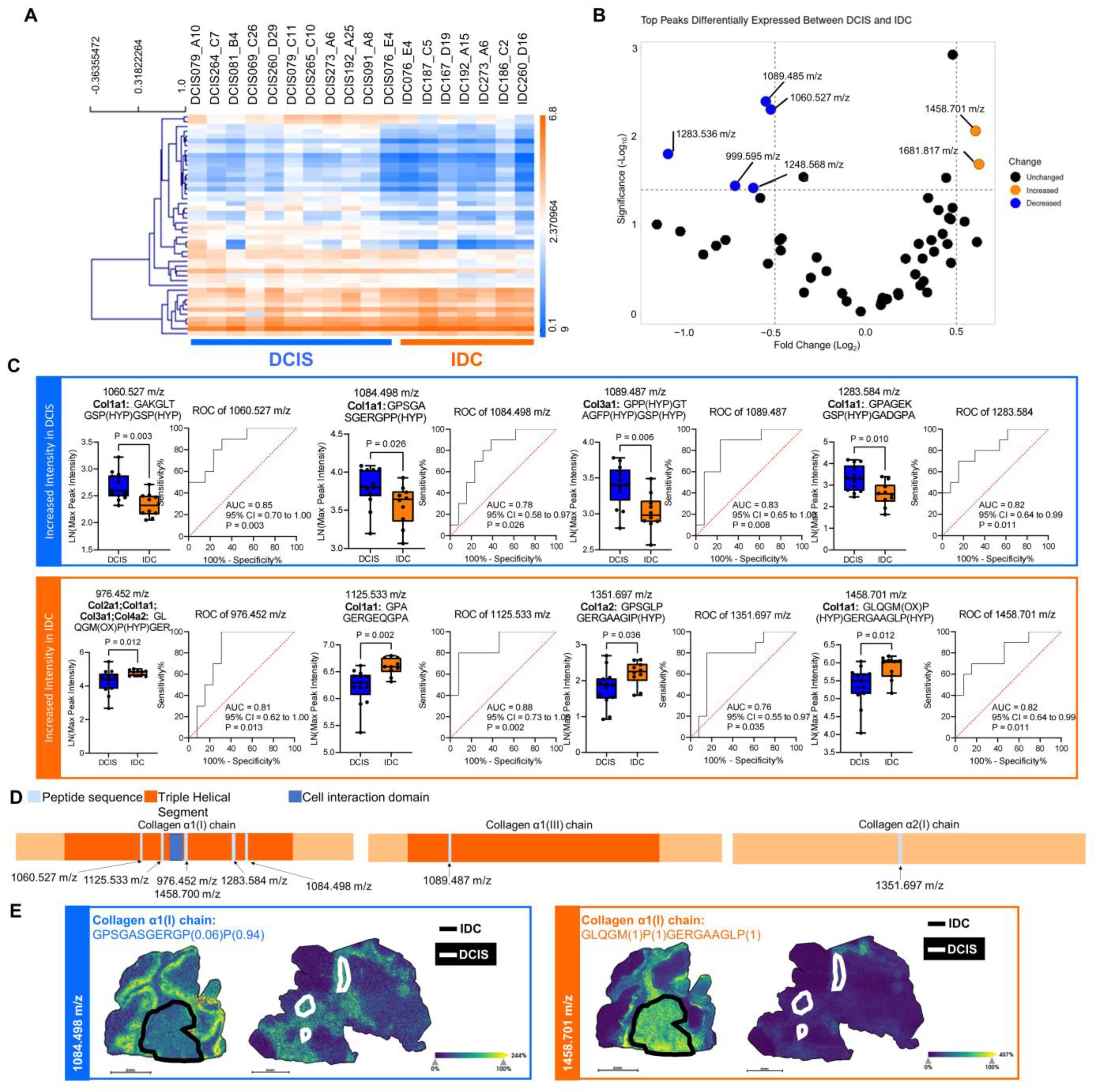 Ijms 25 06748 g003 Ijms 25 06748 g003