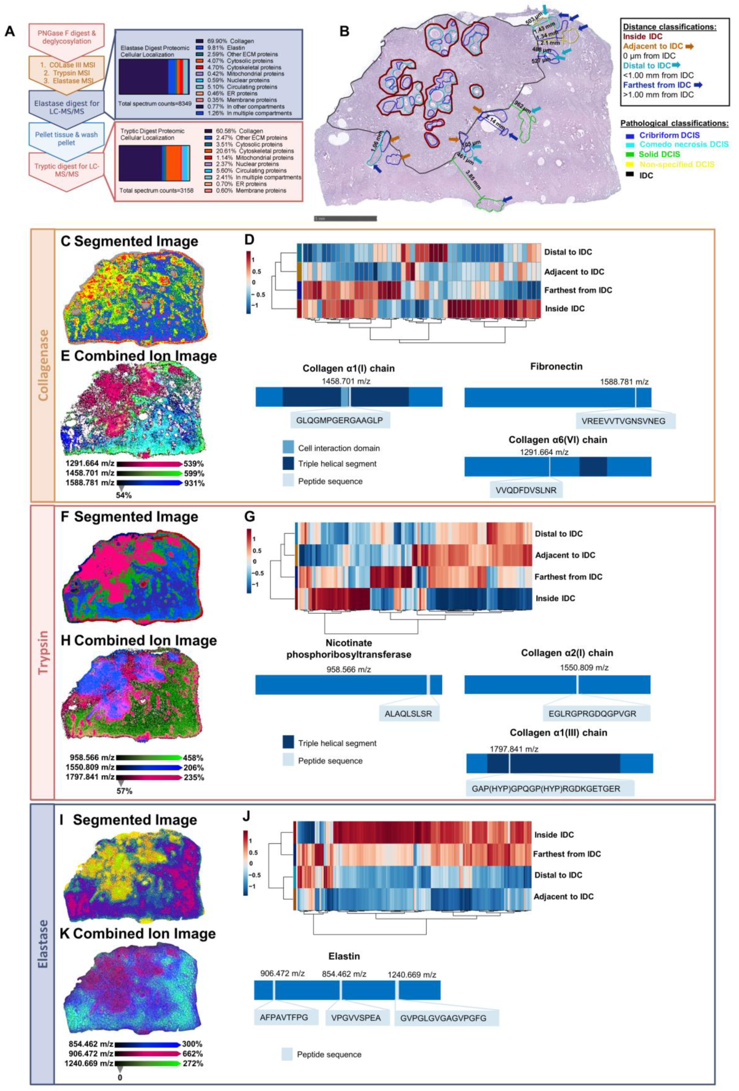 Ijms 25 06748 g006 Ijms 25 06748 g006