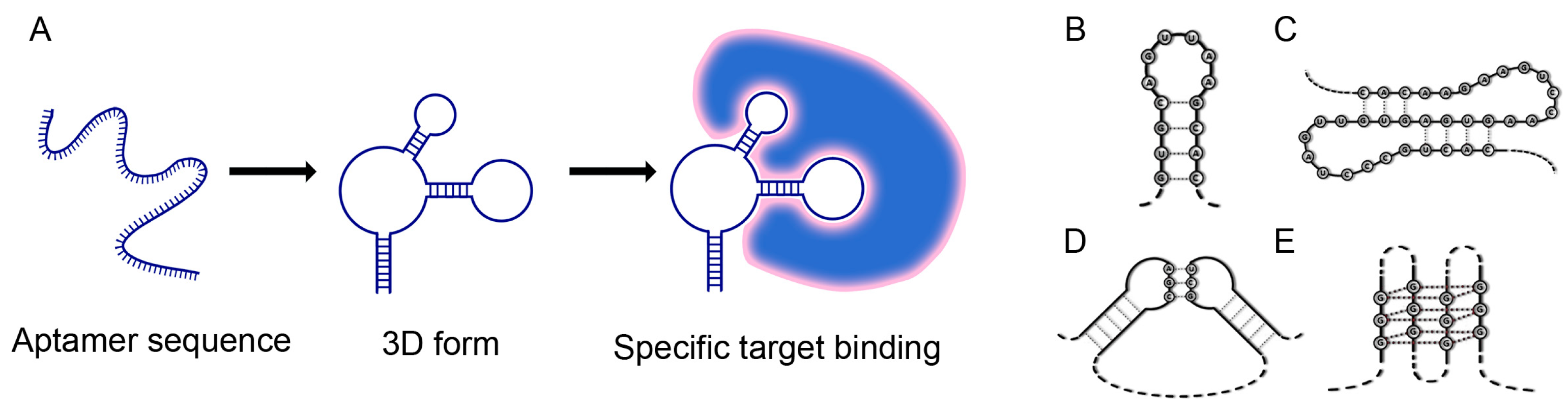 Ijms 25 06833 g001 Ijms 25 06833 g001