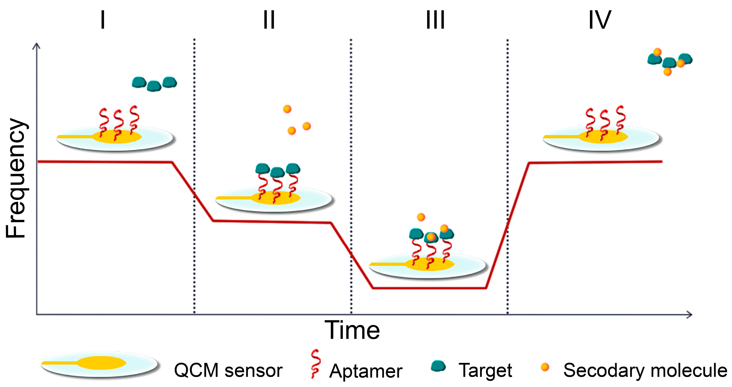 Ijms 25 06833 g004 Ijms 25 06833 g004