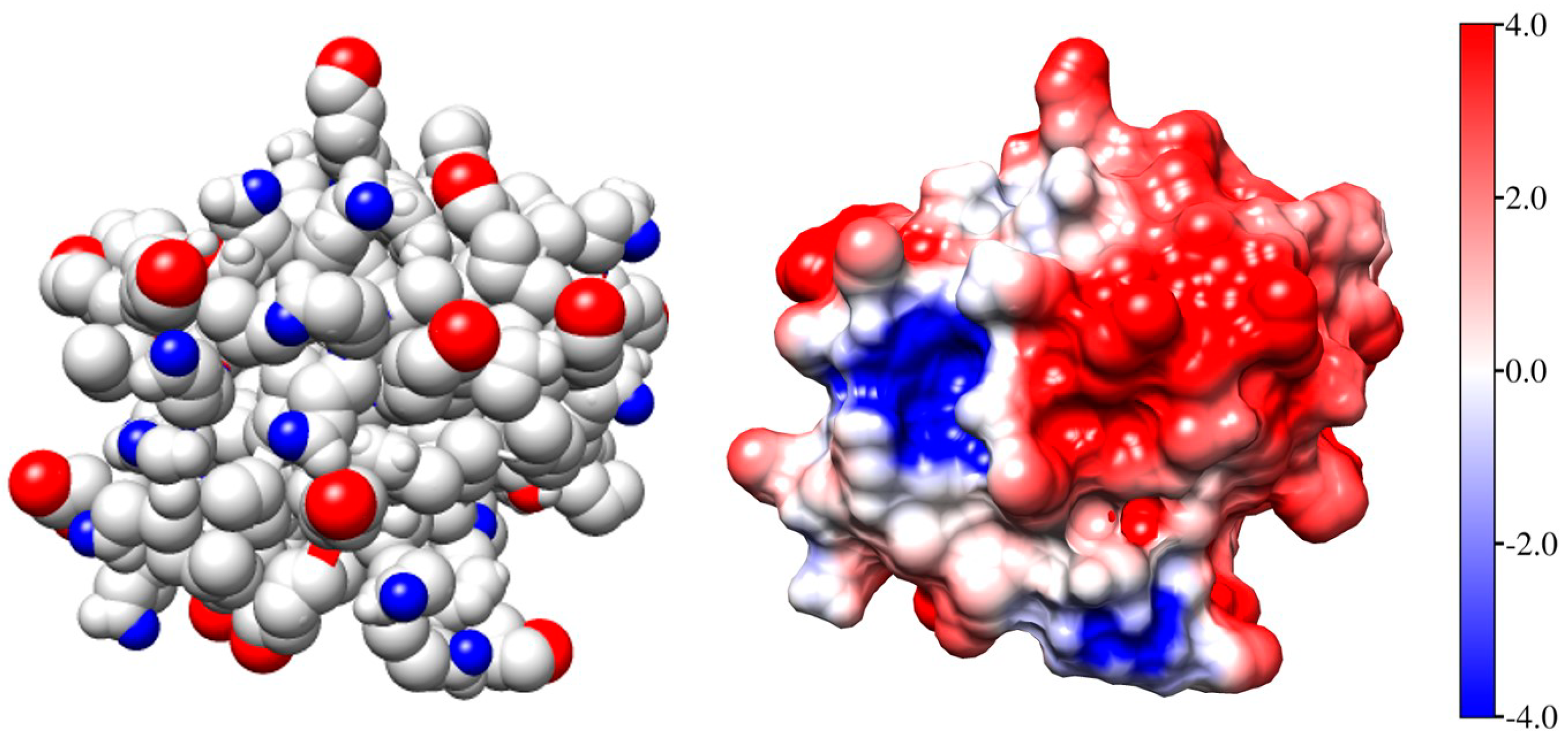 Ijms 25 06834 g002 Ijms 25 06834 g002