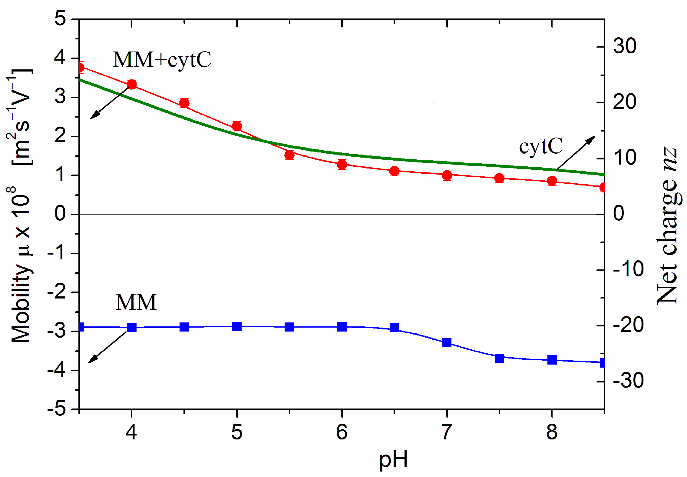 Ijms 25 06834 g003 Ijms 25 06834 g003