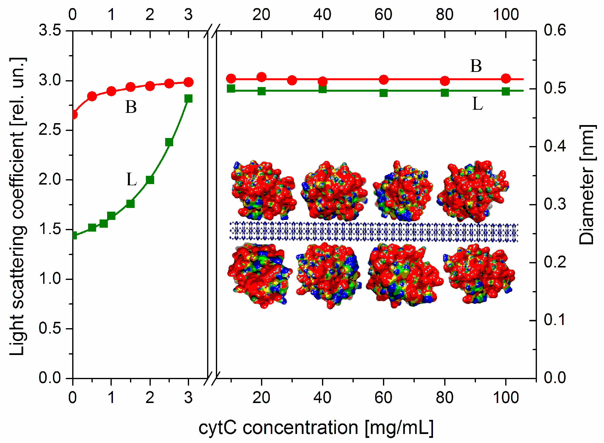 Ijms 25 06834 g004 Ijms 25 06834 g004