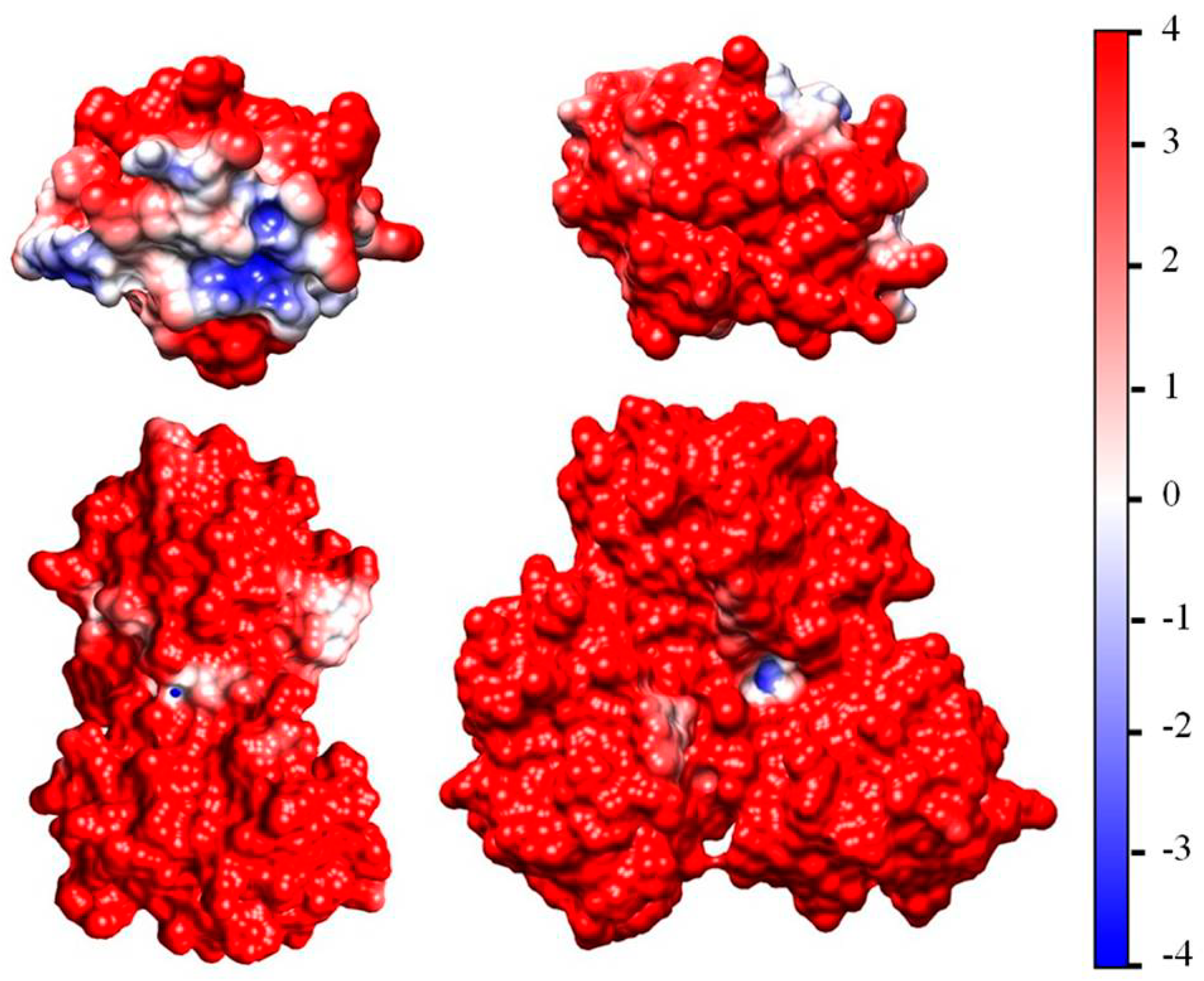 Ijms 25 06834 g006 Ijms 25 06834 g006