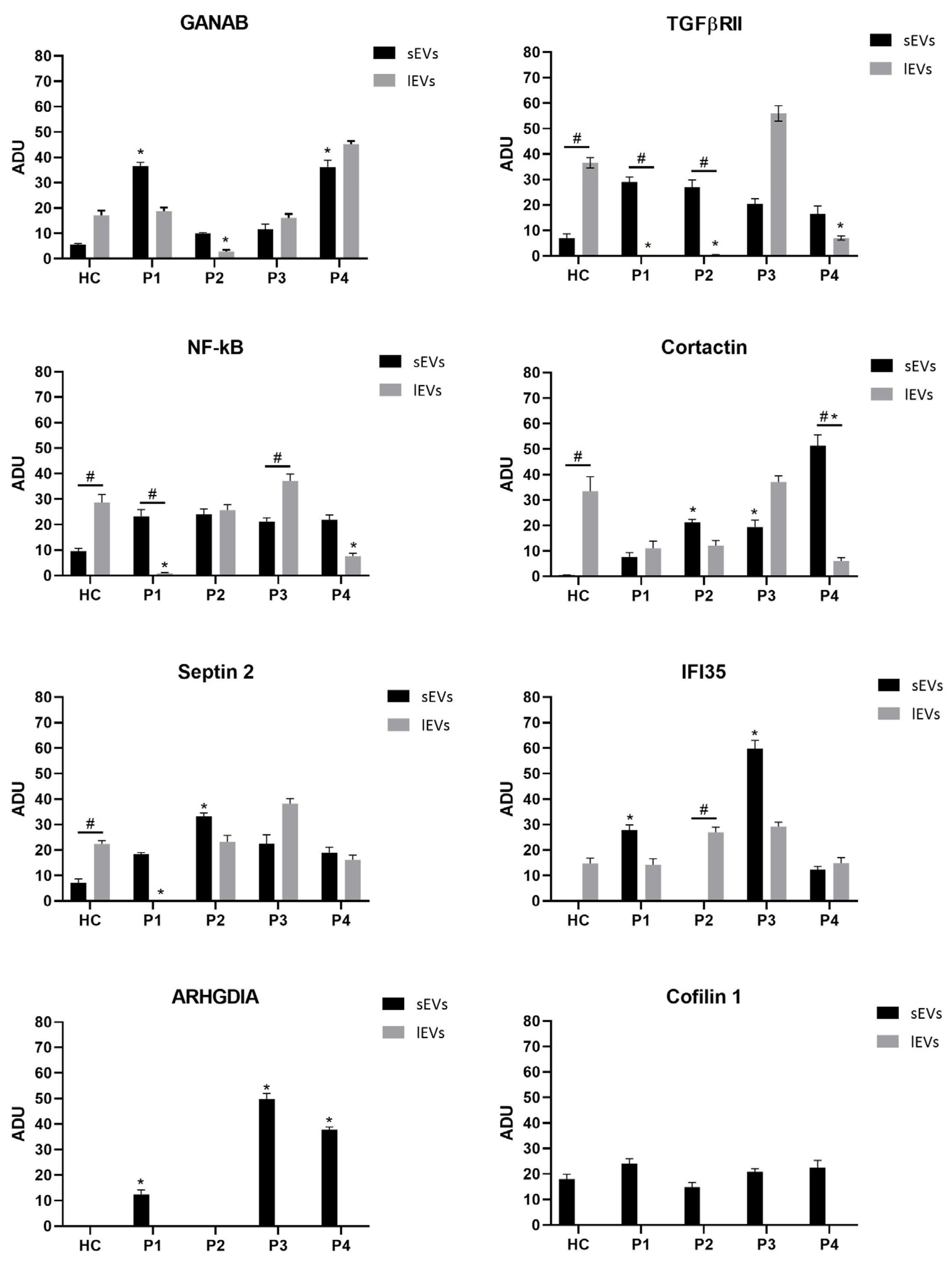 Ijms 25 06867 g006 Ijms 25 06867 g006