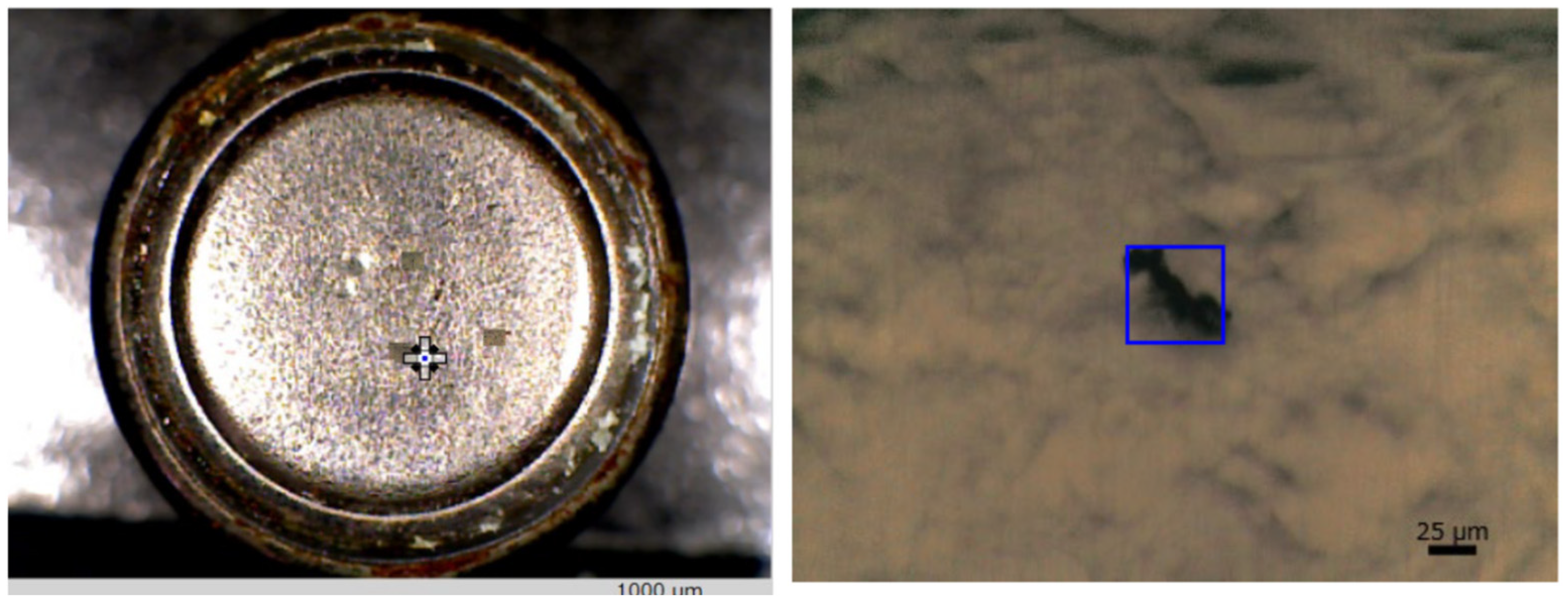 Ijms 25 06884 g001 Ijms 25 06884 g001