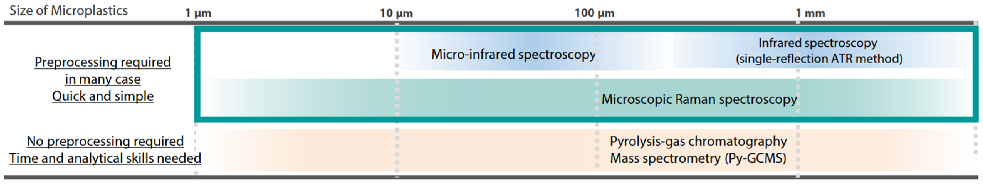 Ijms 25 06884 g004 Ijms 25 06884 g004