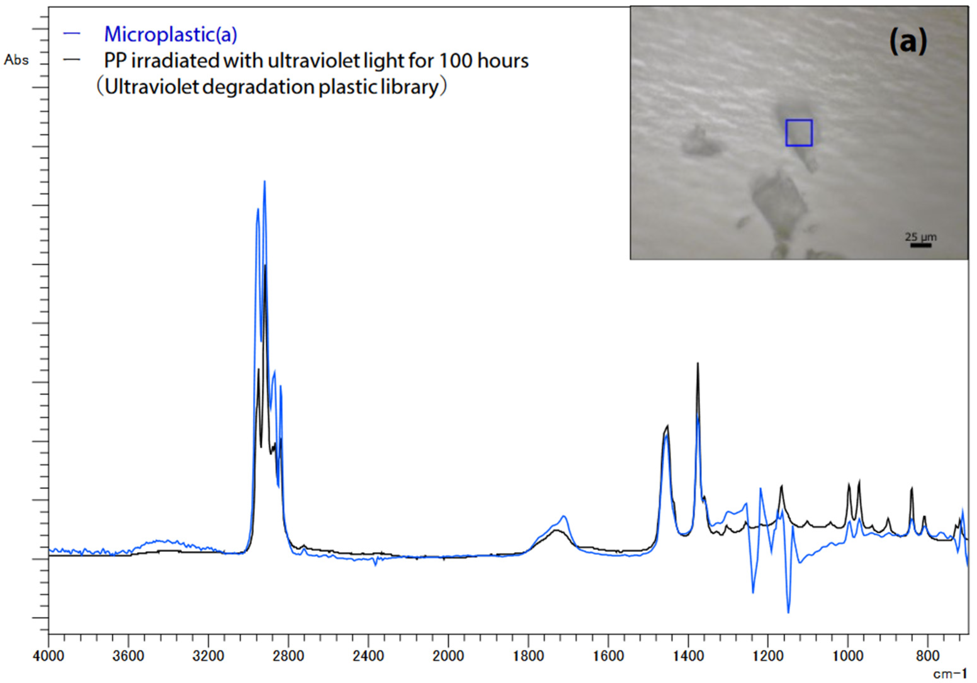 Ijms 25 06884 g005 Ijms 25 06884 g005