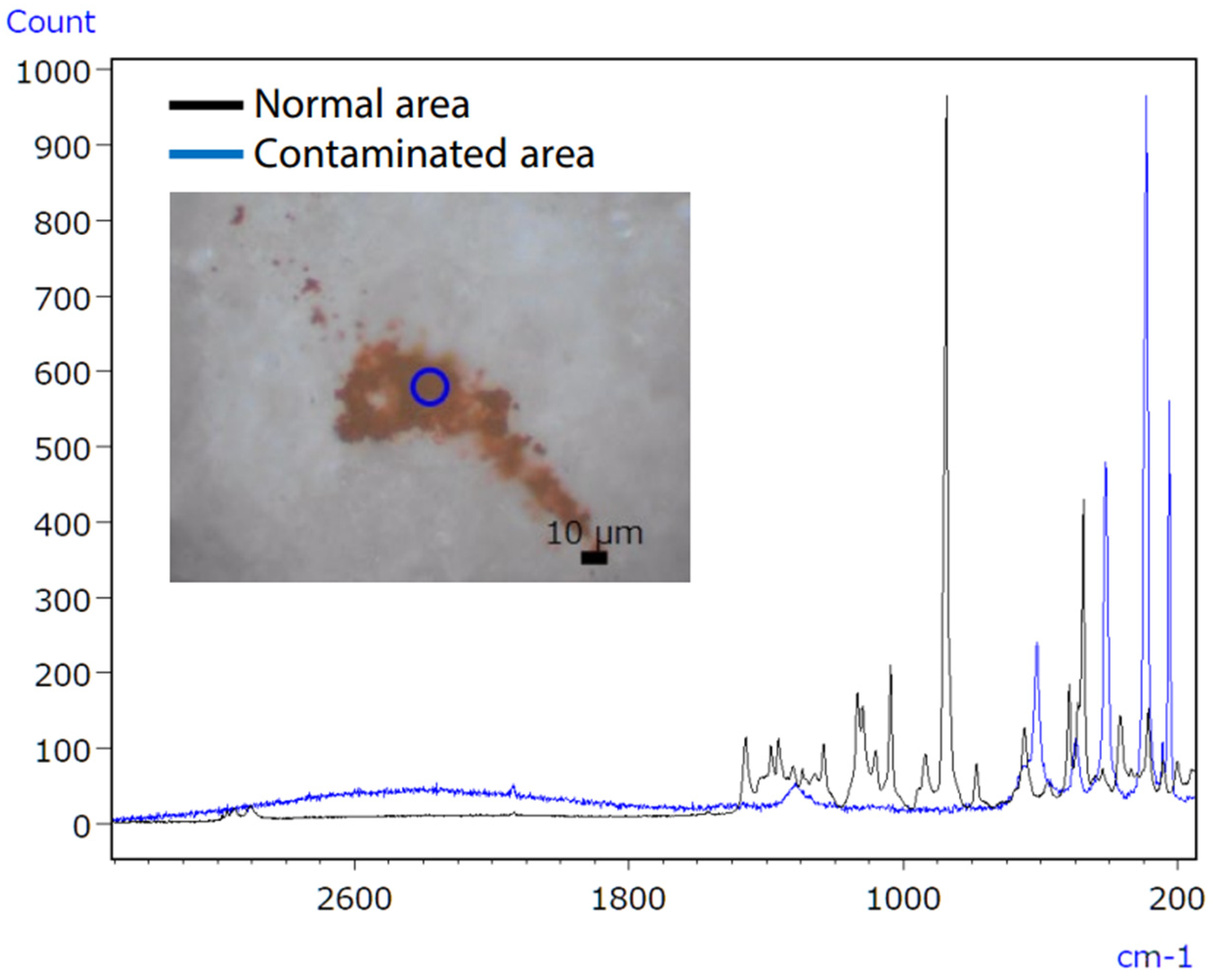 Ijms 25 06884 g018 Ijms 25 06884 g018
