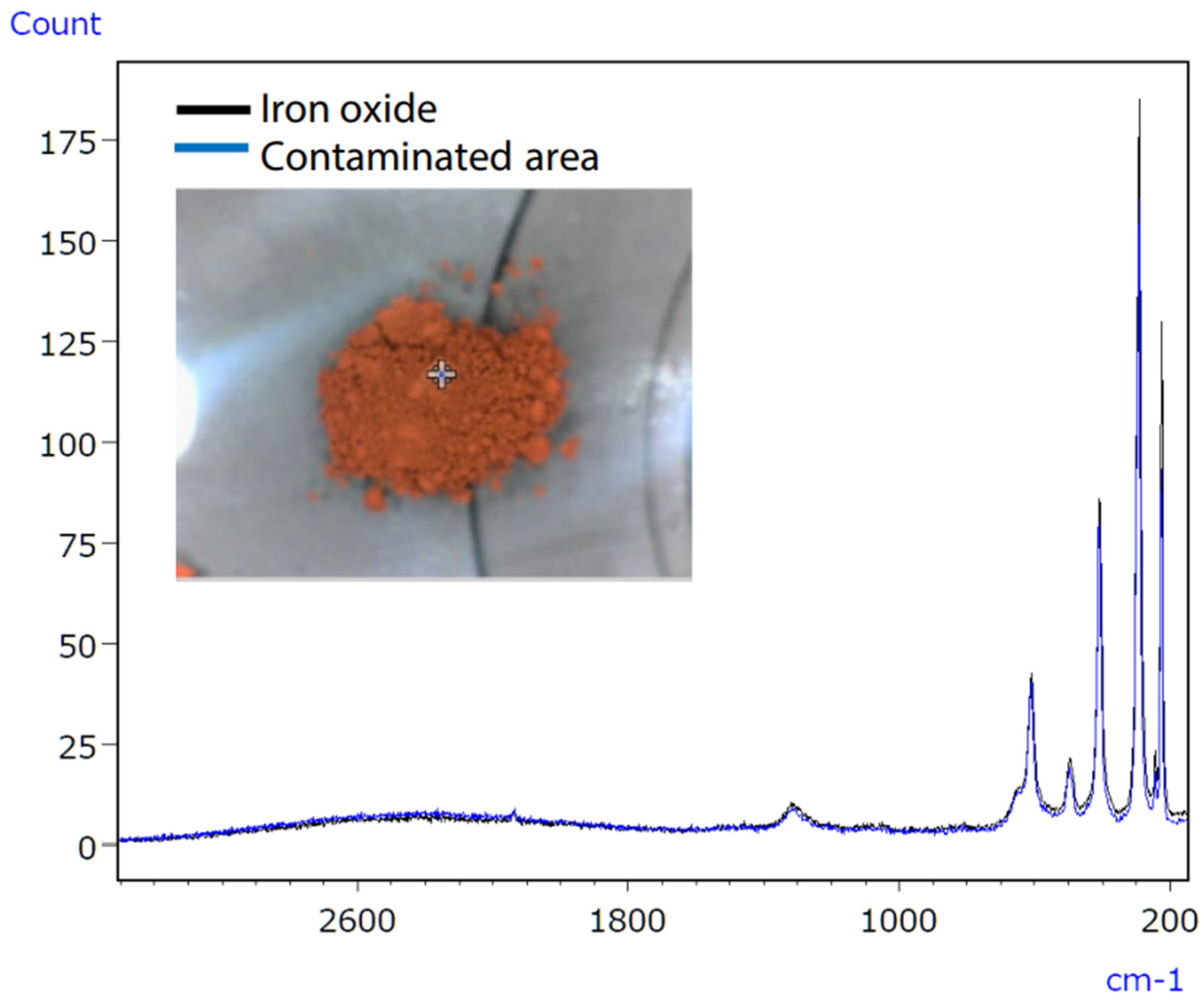 Ijms 25 06884 g019 Ijms 25 06884 g019