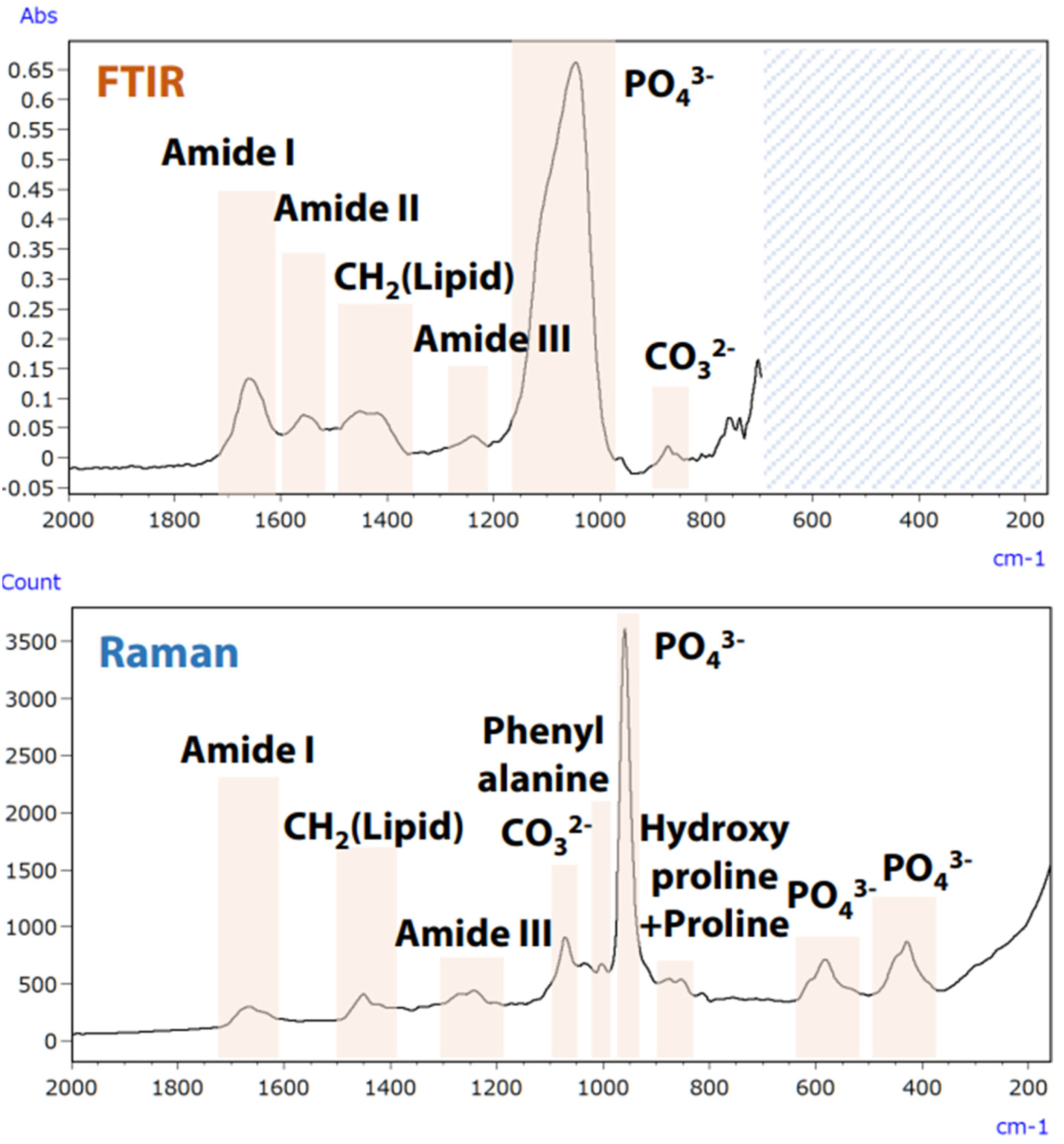 Ijms 25 06884 g021 Ijms 25 06884 g021