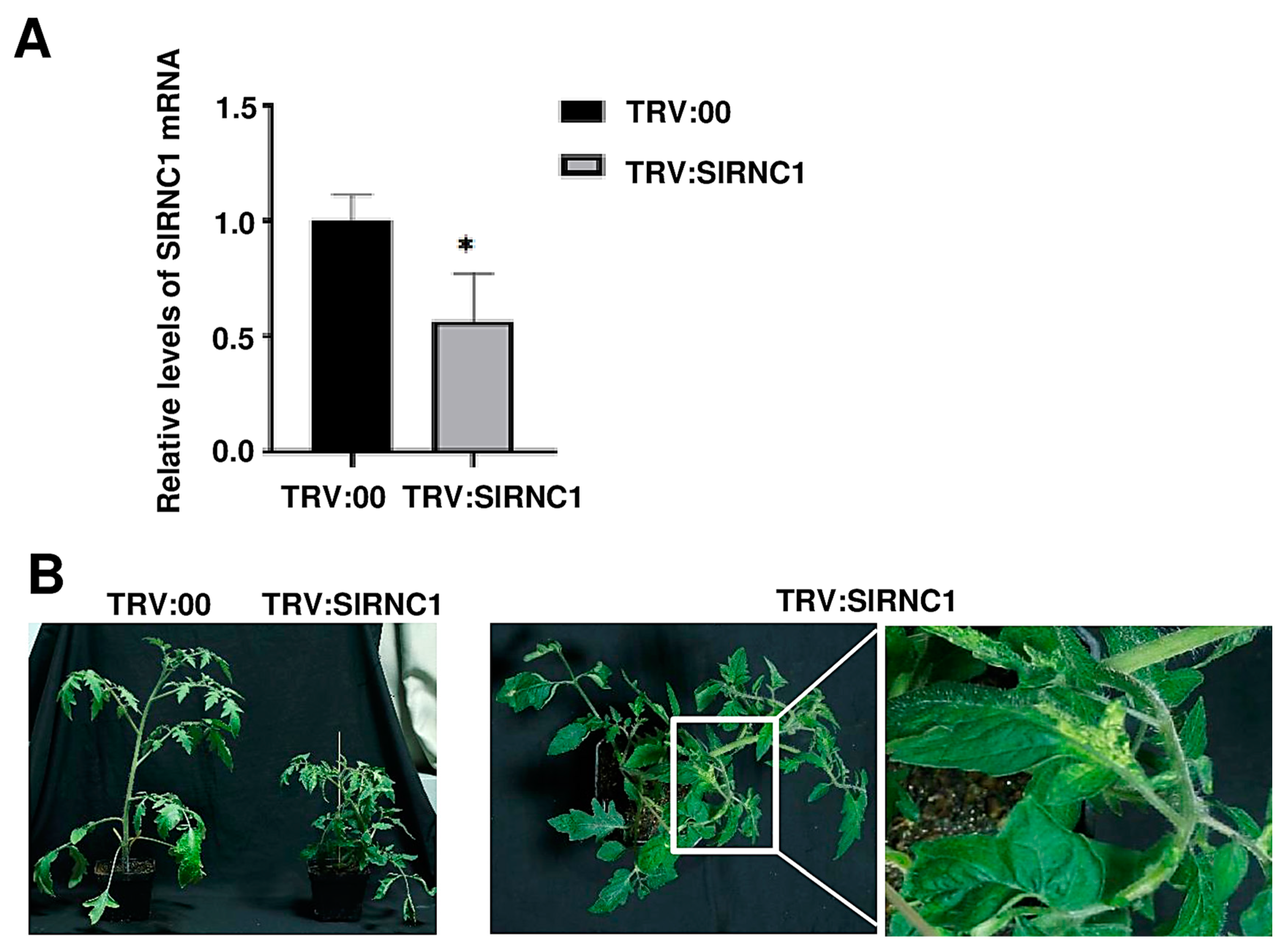 Ijms 25 06898 g002 Ijms 25 06898 g002