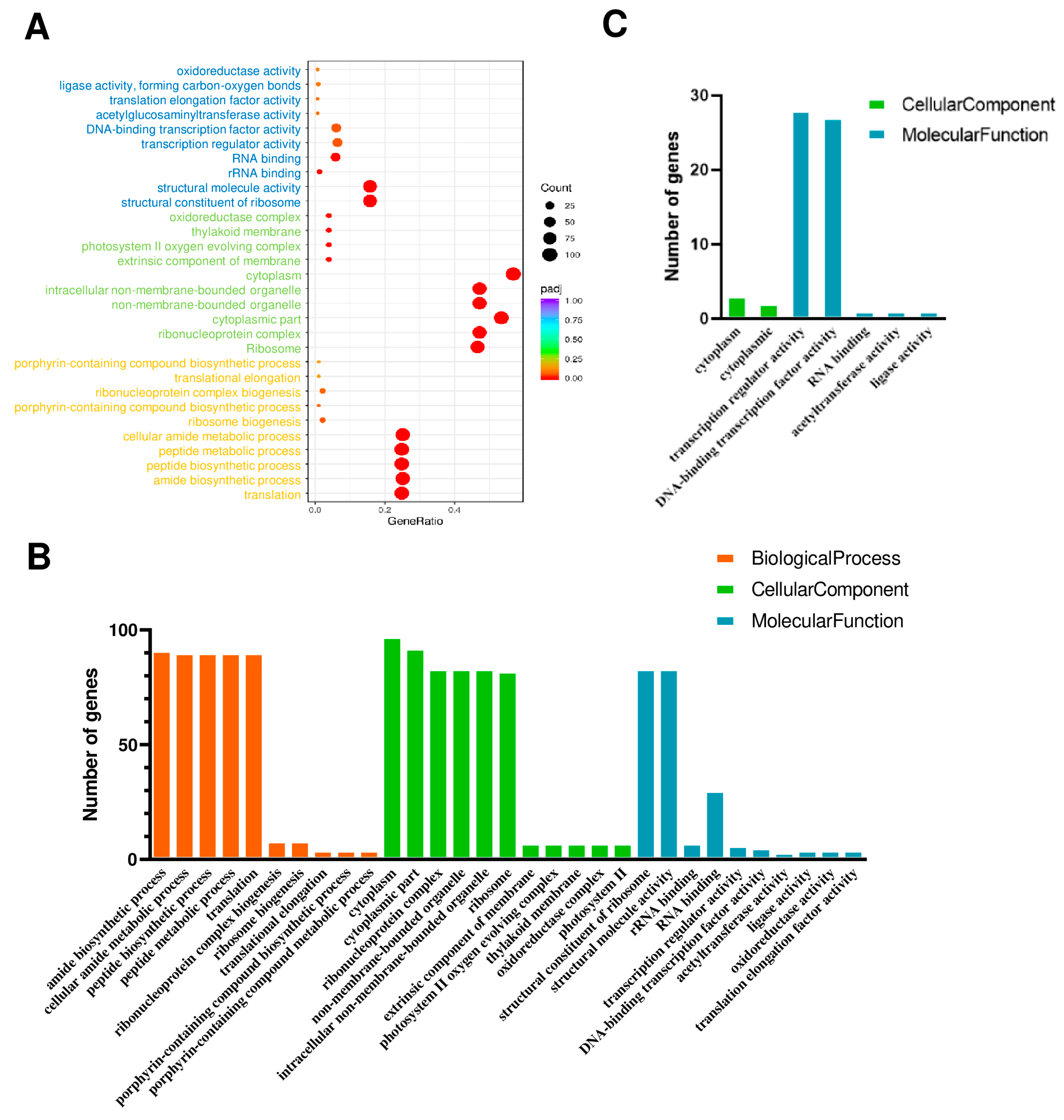 Ijms 25 06898 g006 Ijms 25 06898 g006