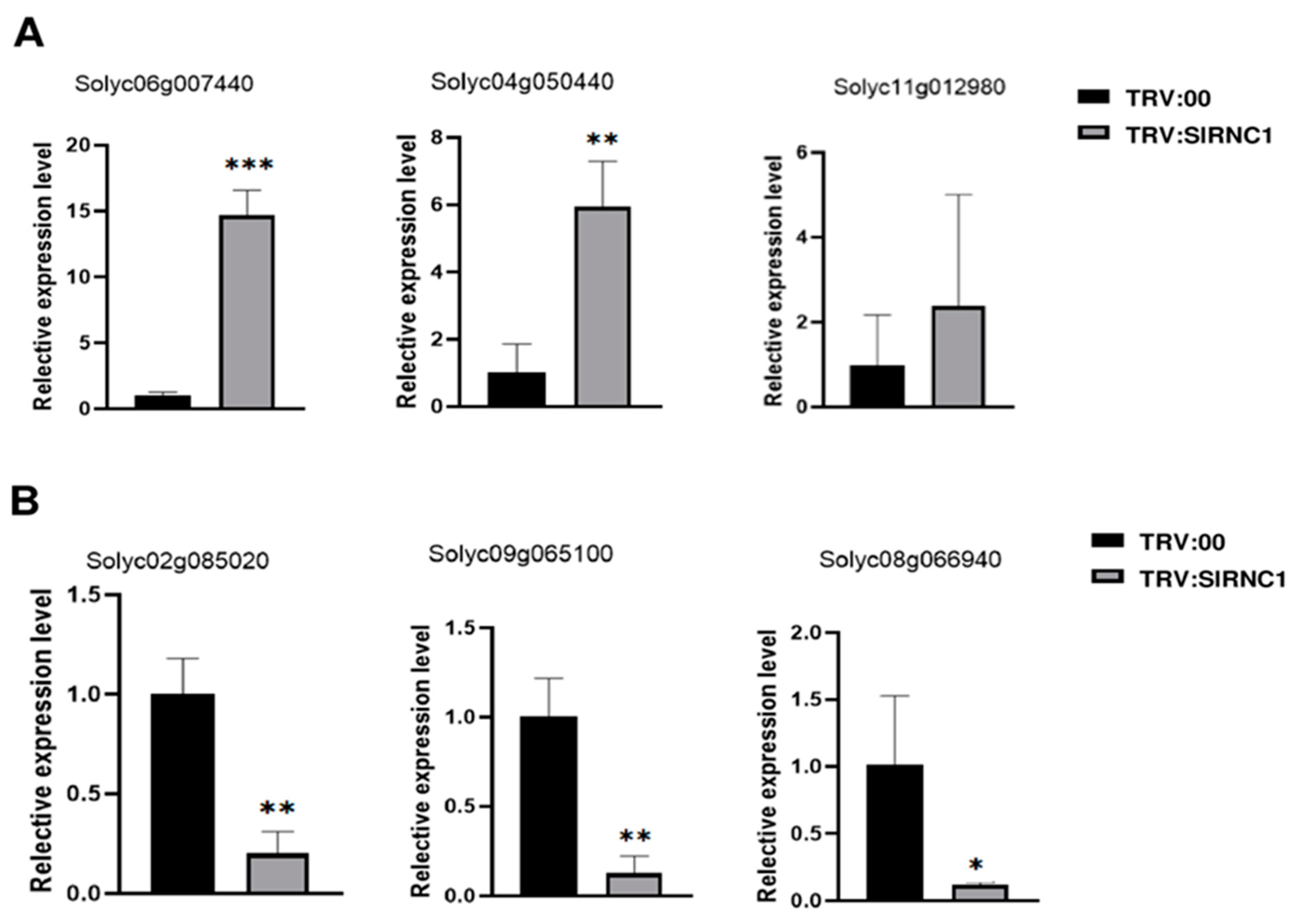 Ijms 25 06898 g008 Ijms 25 06898 g008