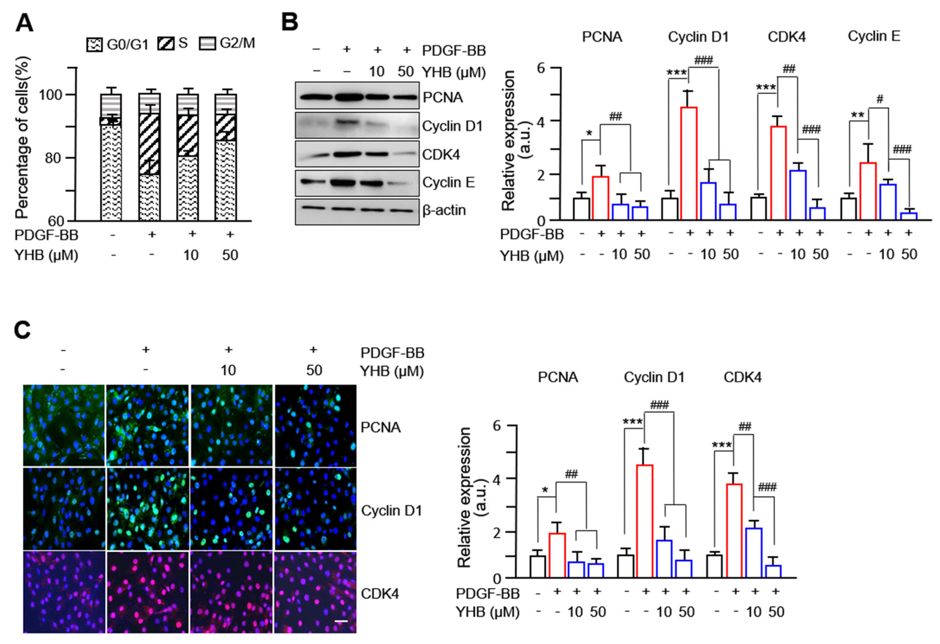 Ijms 25 06899 g002 Ijms 25 06899 g002