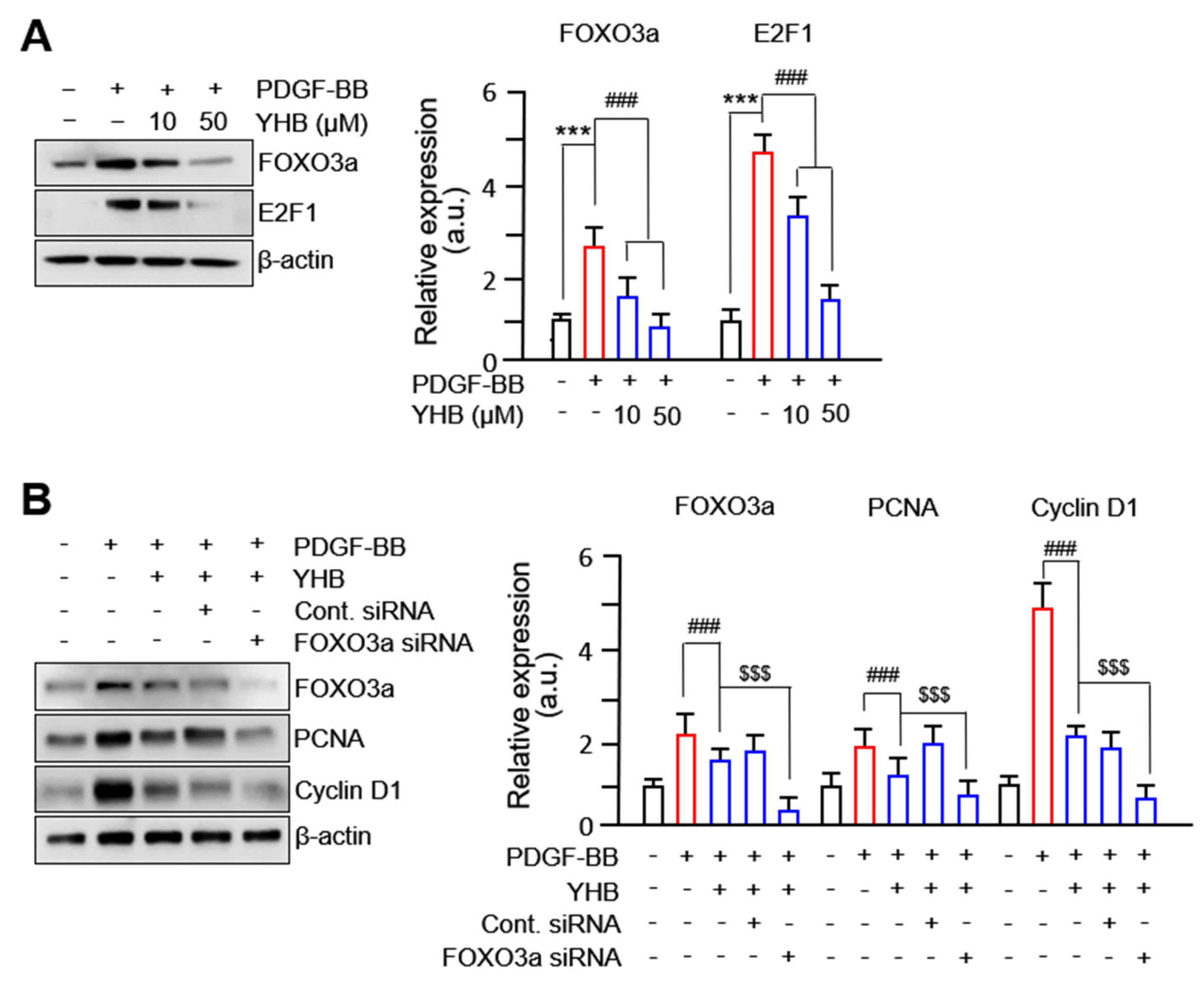 Ijms 25 06899 g003 Ijms 25 06899 g003