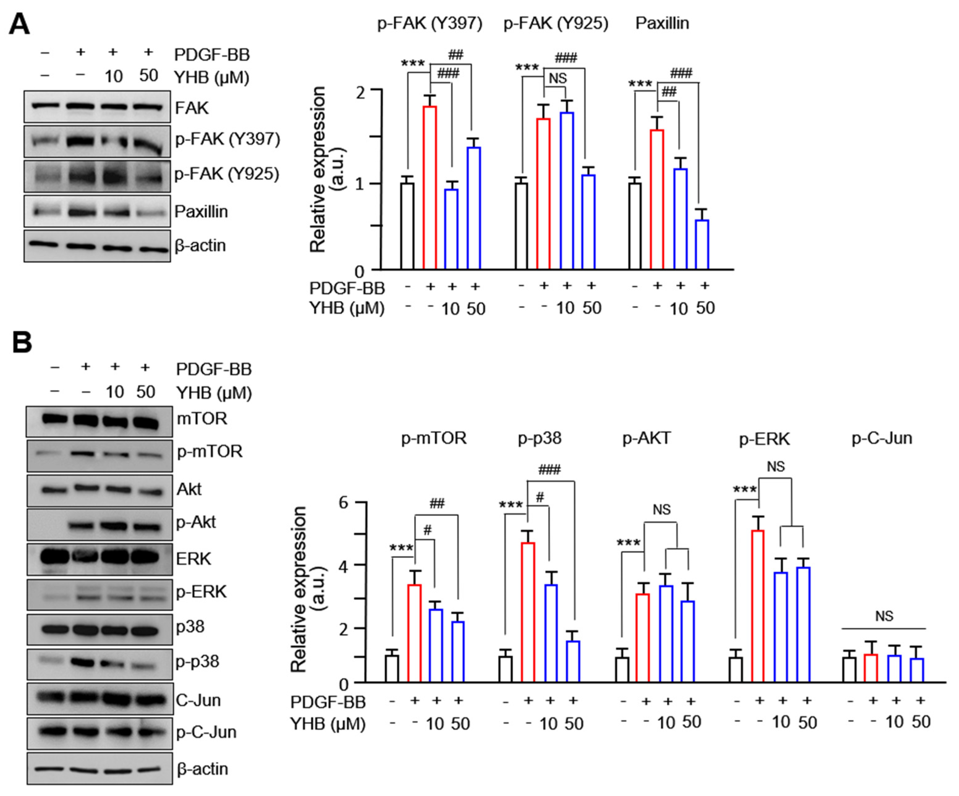 Ijms 25 06899 g004 Ijms 25 06899 g004