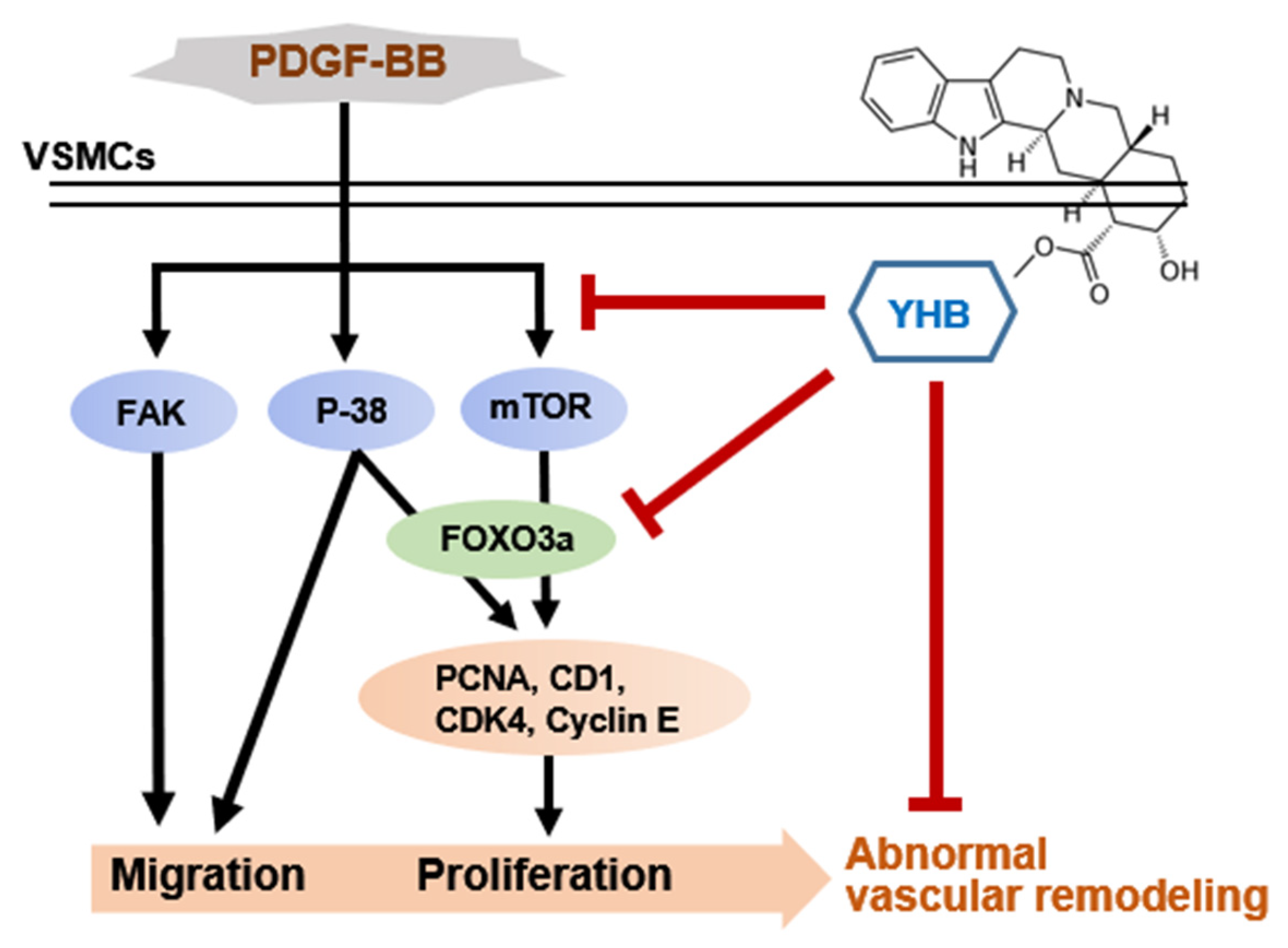 Ijms 25 06899 g006 Ijms 25 06899 g006