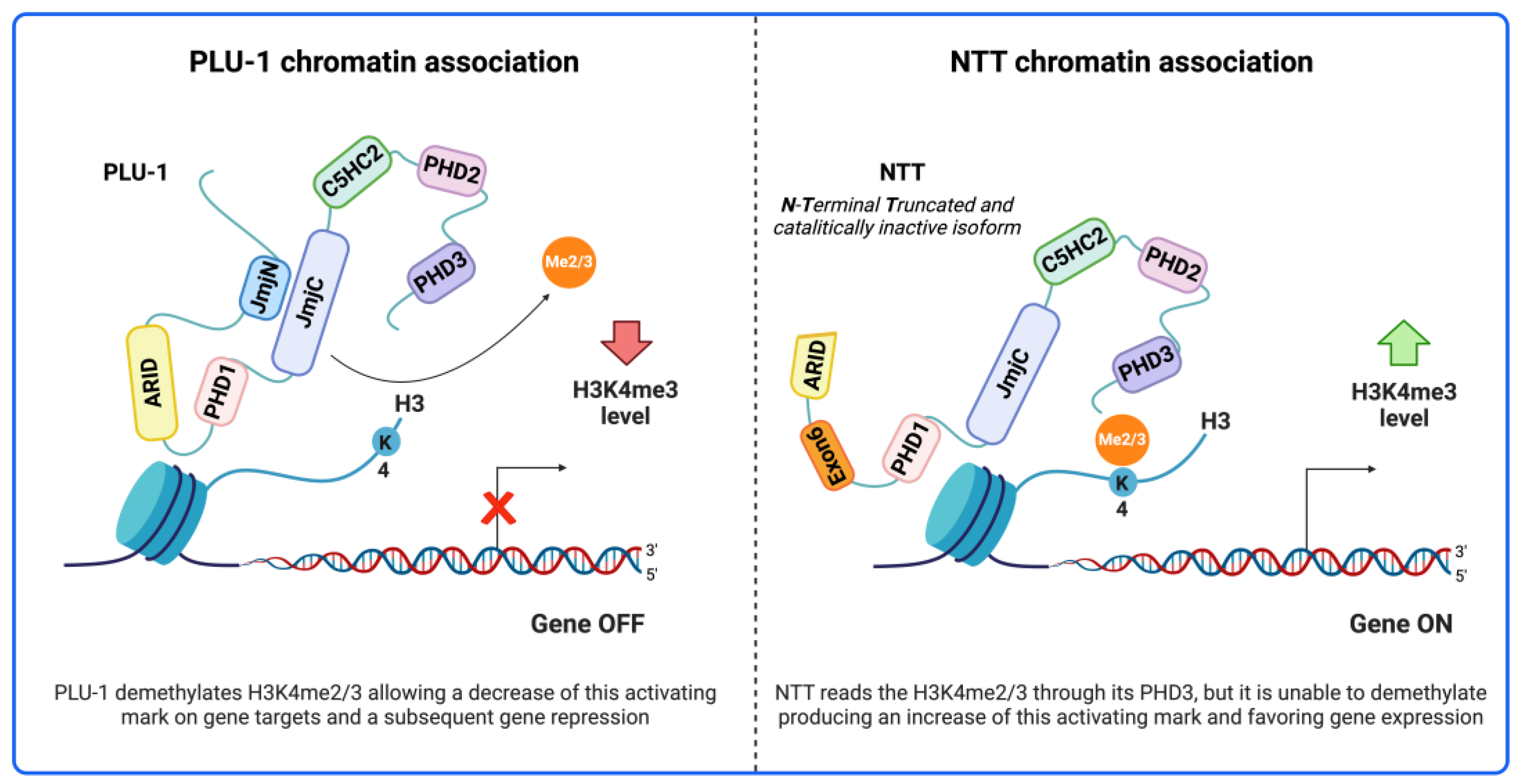 Ijms 25 06900 g002 Ijms 25 06900 g002