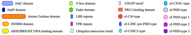 Ijms 25 06900 i022 Ijms 25 06900 i022